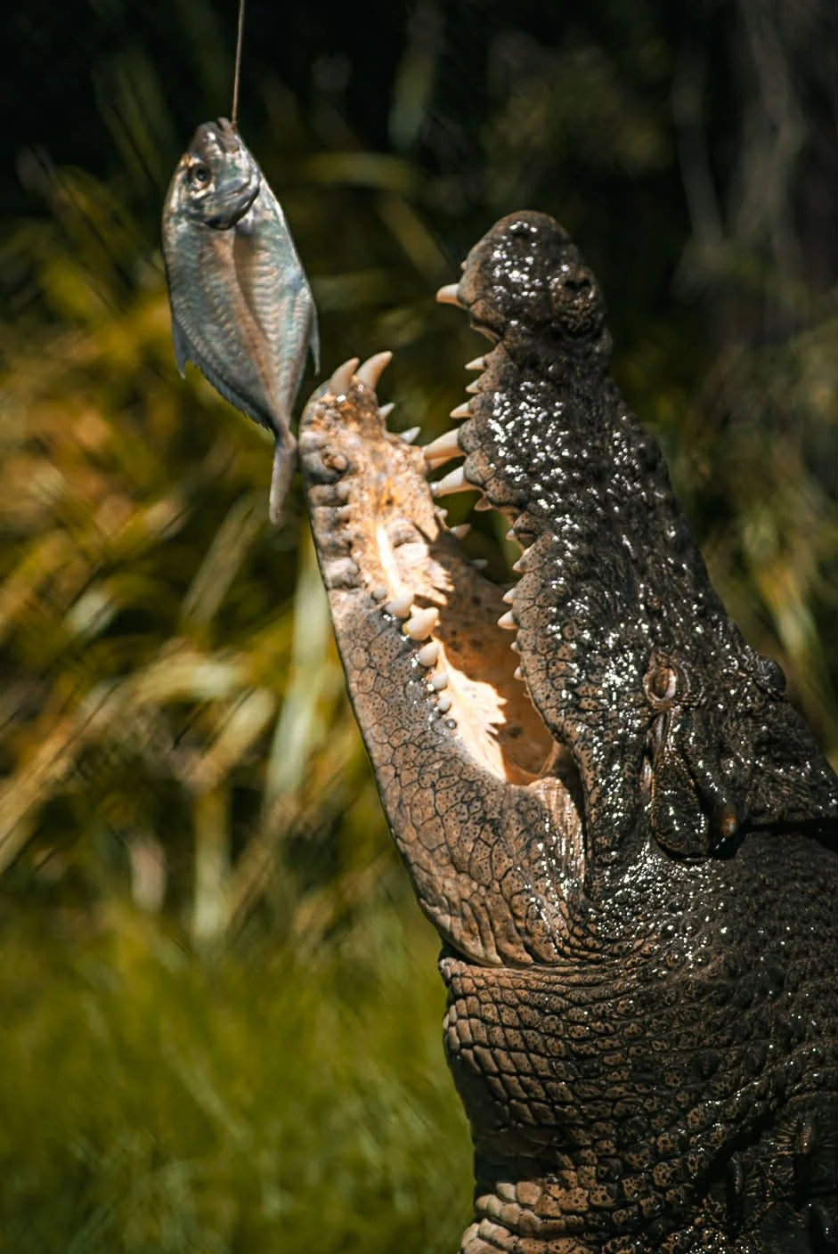 92c284f6-ec1b-437e-ba11-cd688b568a28 (1).jpg