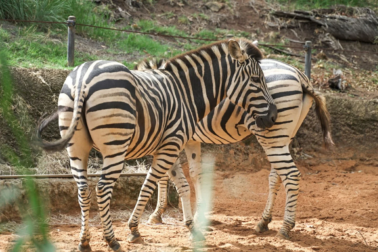 724f2875-6650-4d98-ae03-bbbda700425c (1).jpg