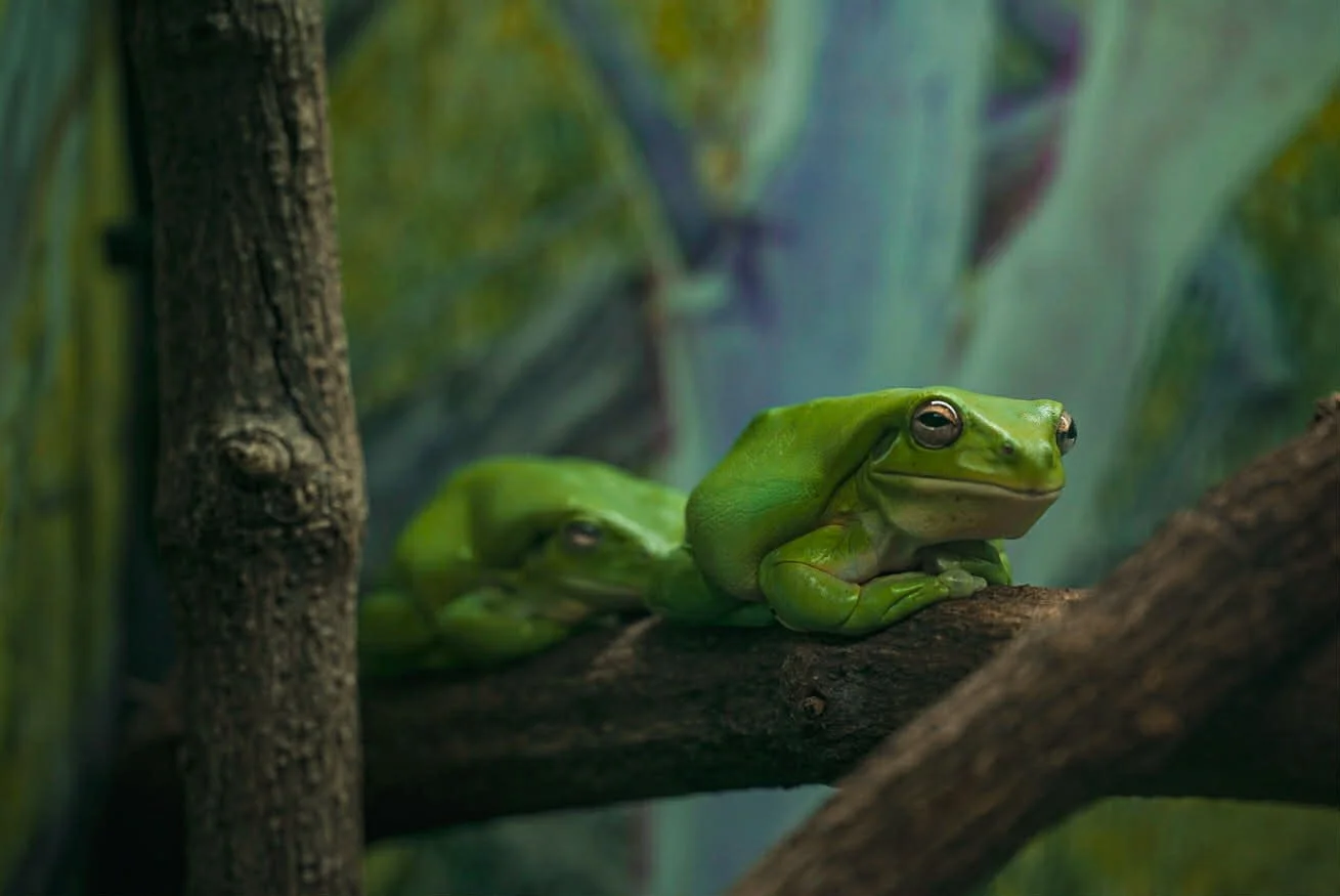 cf8ff18f-582a-41ff-ae56-d43fbb89733a (1).jpg