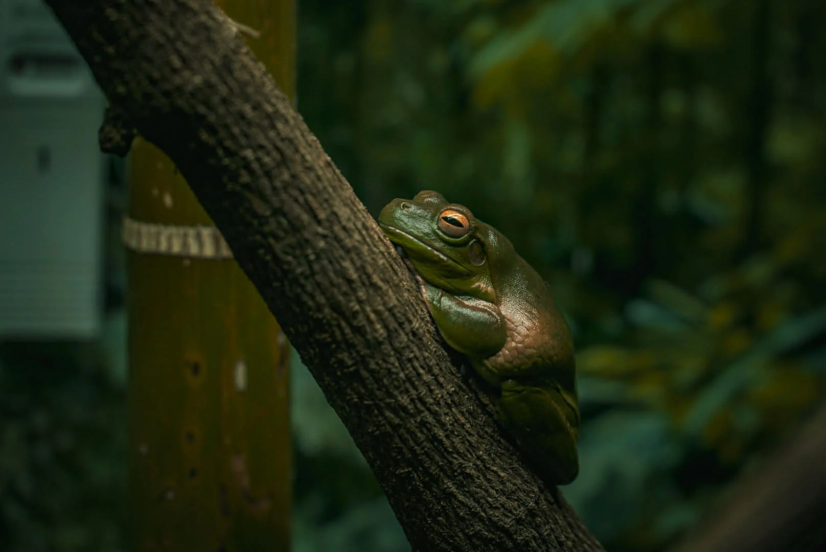 2a84d426-eb11-400d-b430-273c17af6a94 (1).jpg