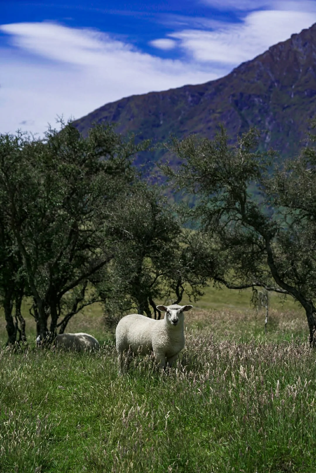 2206b7cb-1f22-4acb-9a20-e574133a28aa (1).jpg