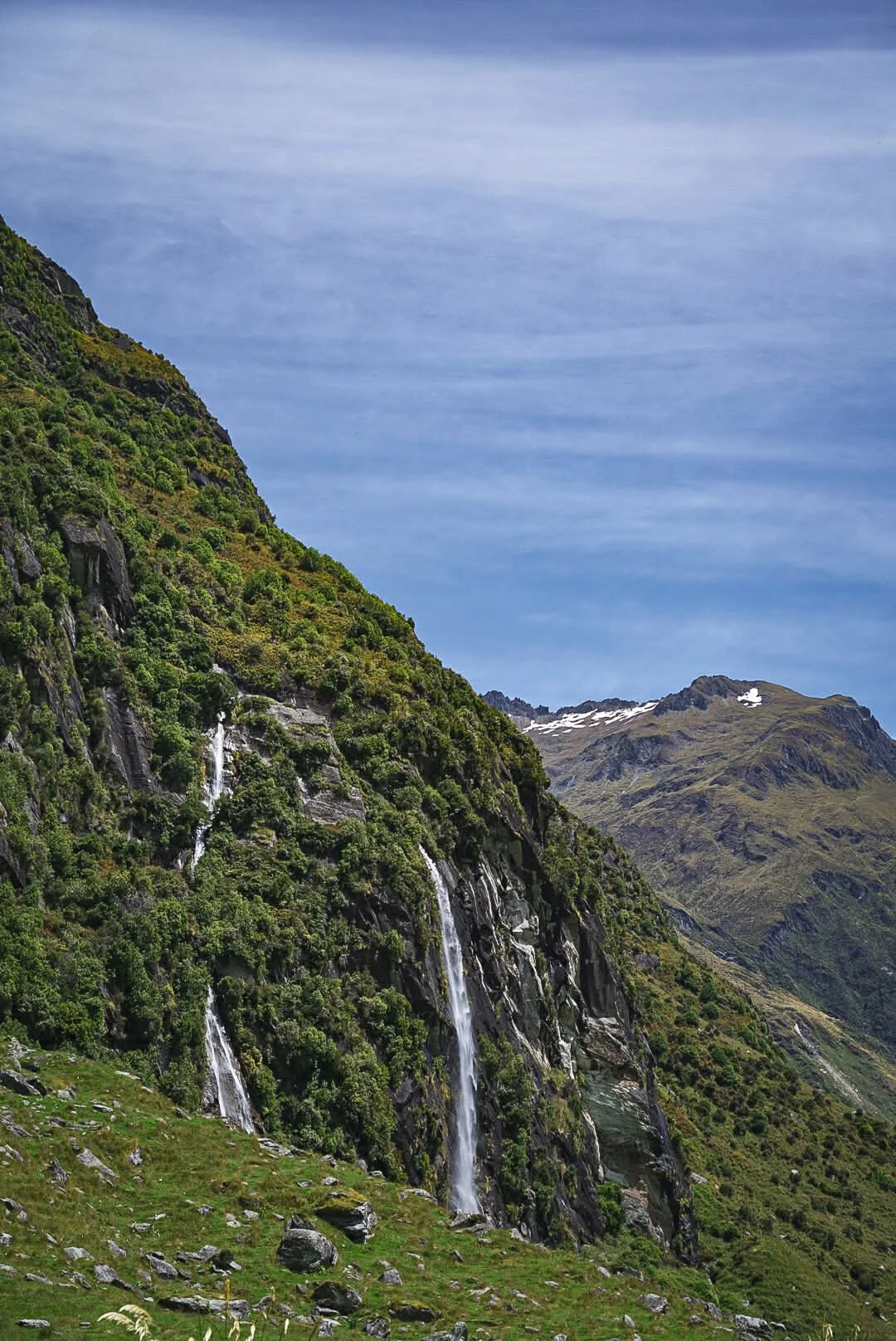 3029f088-0dd1-4961-a886-2951ac64a895 (1).jpg