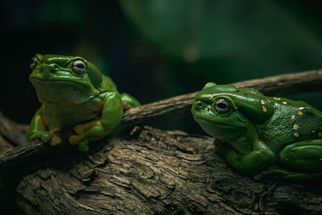 d76ac1ec-642f-4782-953f-8d5b59a1f9dc (1).jpg