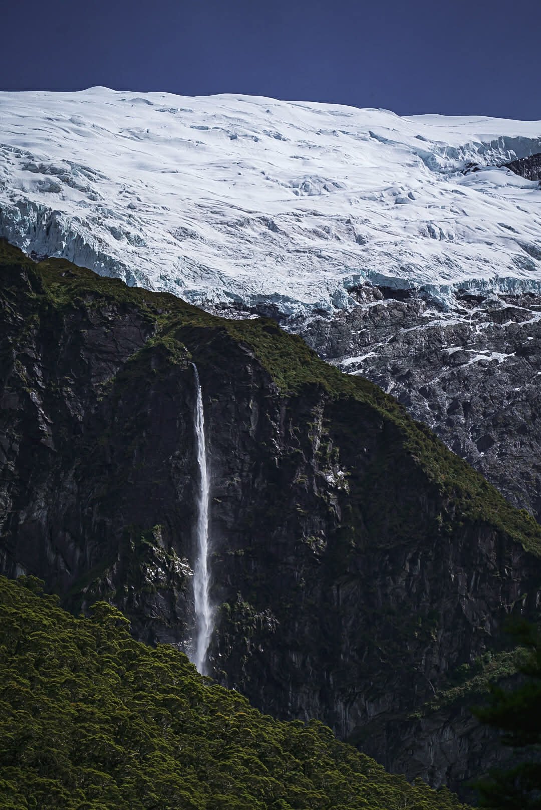 7333f190-604d-4d41-b97b-f726012345b8 (1).jpg