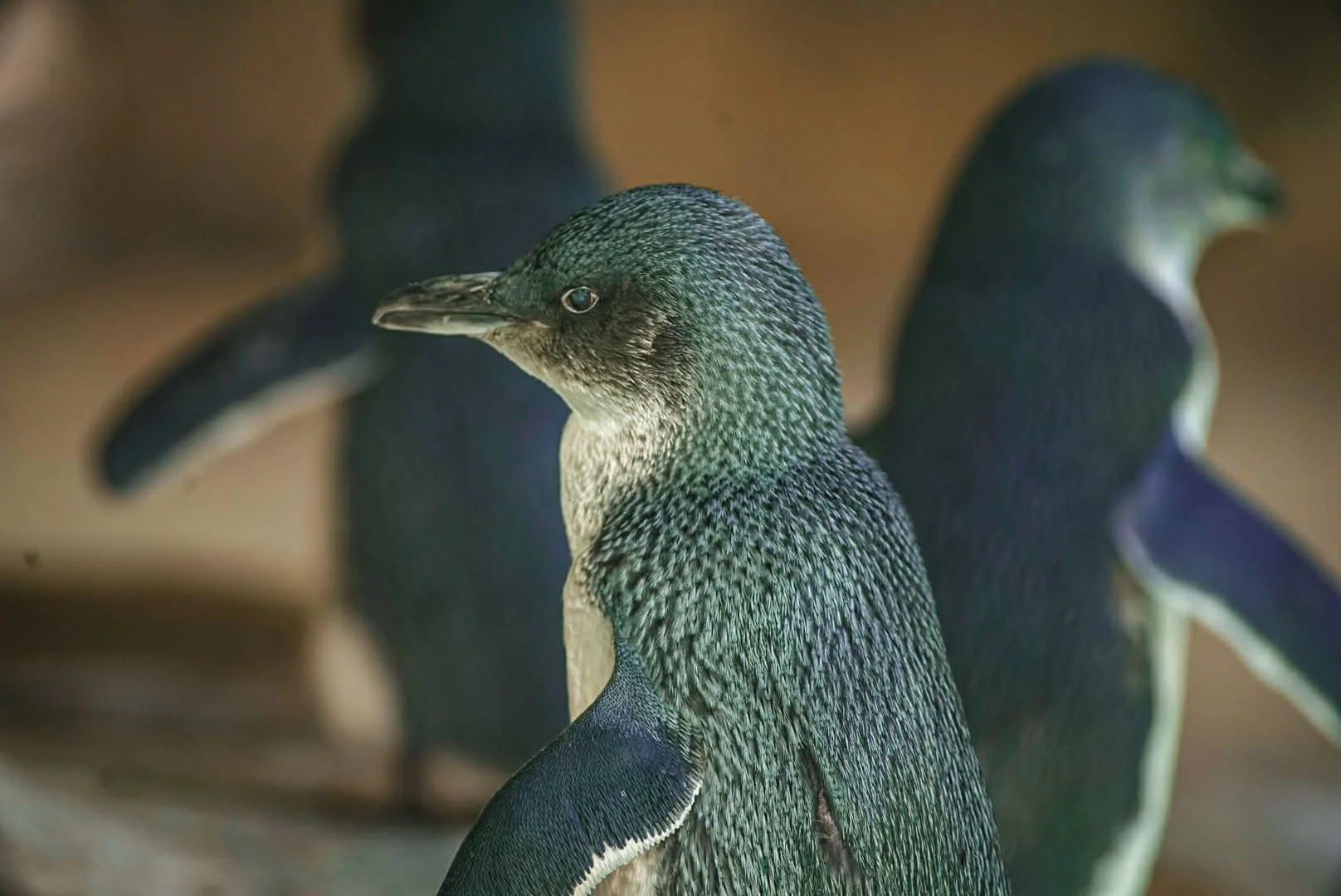 e449ee15-3078-49a9-a423-a4f847807e7b (1).jpg