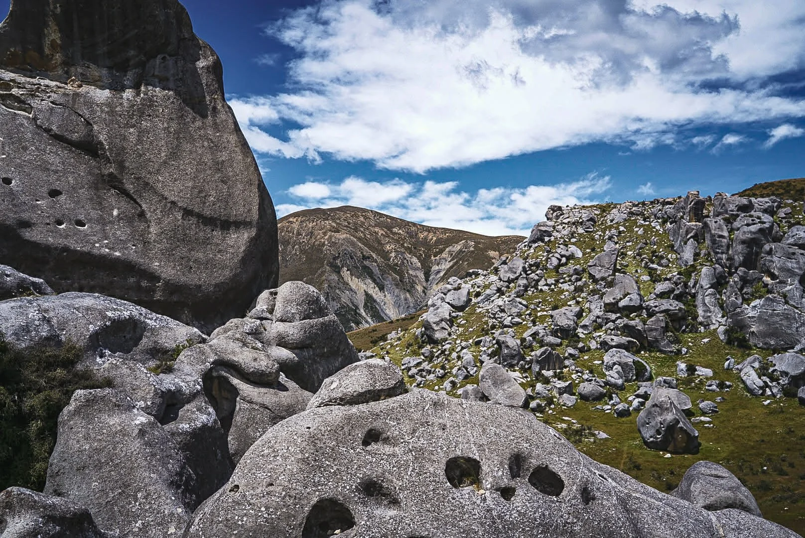 5d5d2489-c341-4d3b-9583-298e0c1e7f21 (1).jpg