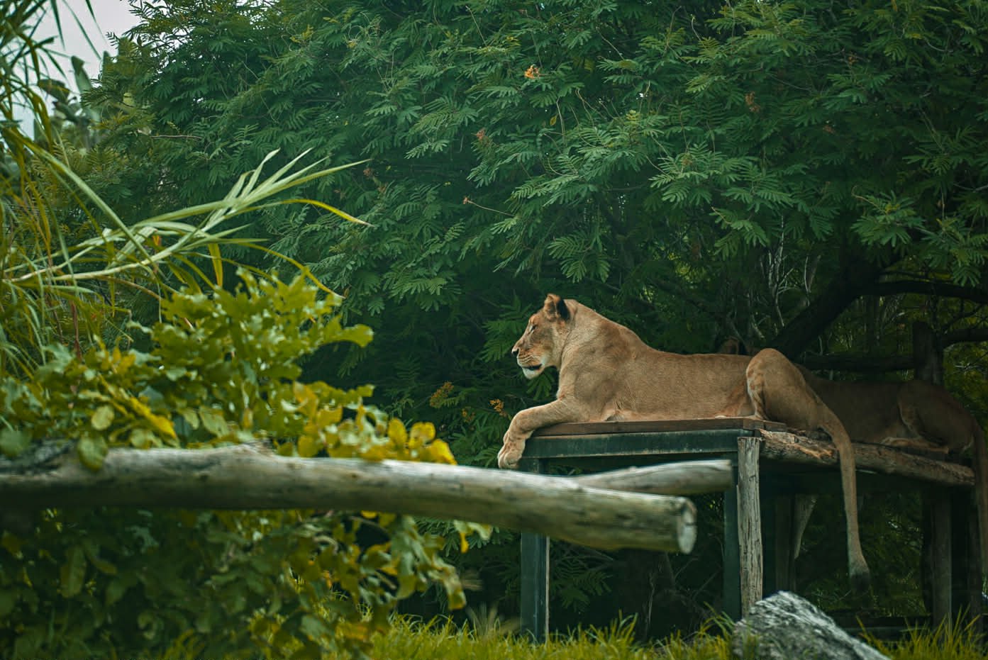 ad3dbfaa-fc0c-423e-b008-51661f0037c5 (1).jpg