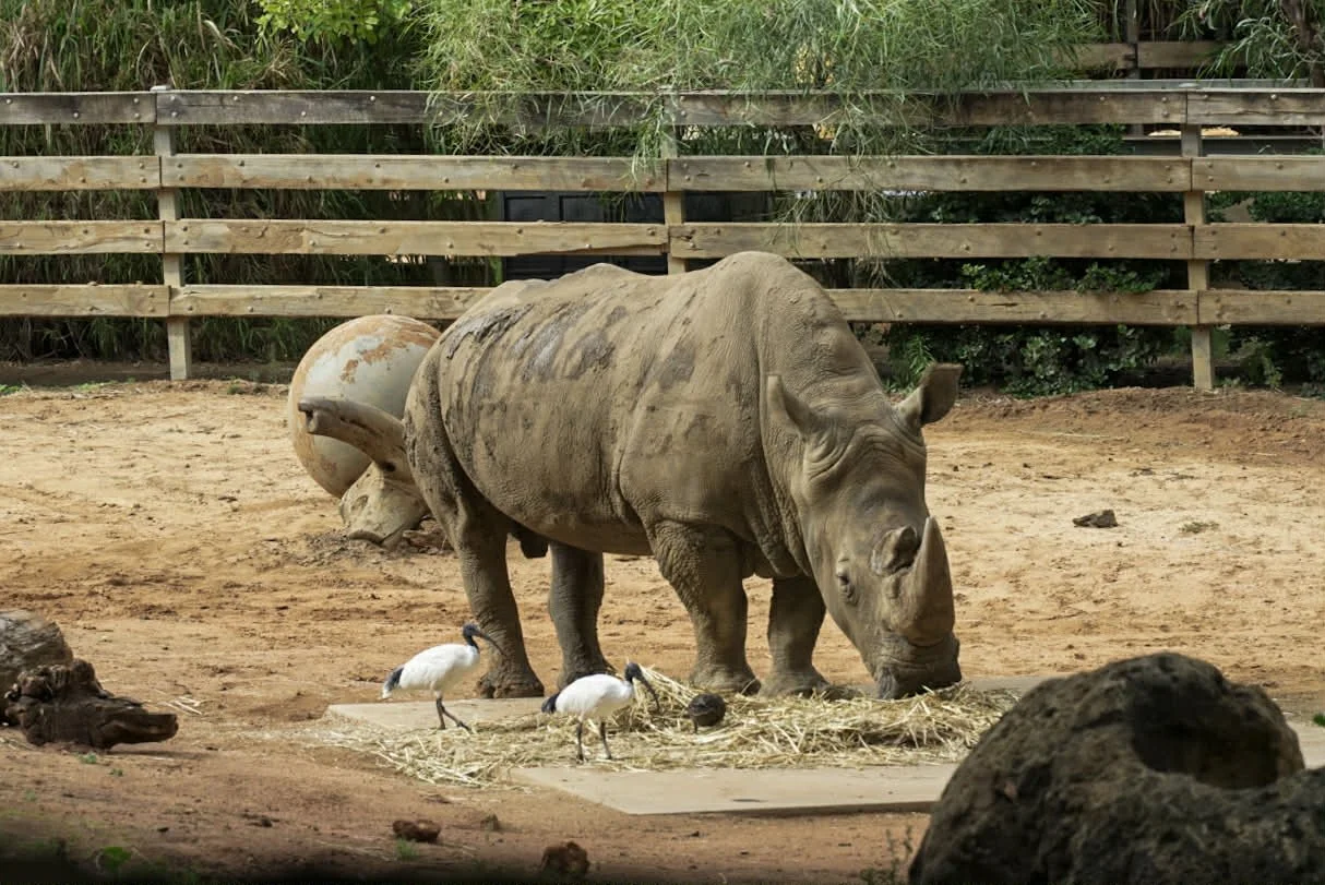 7270baef-c4e3-43df-b605-91eaa412d877 (1).jpg