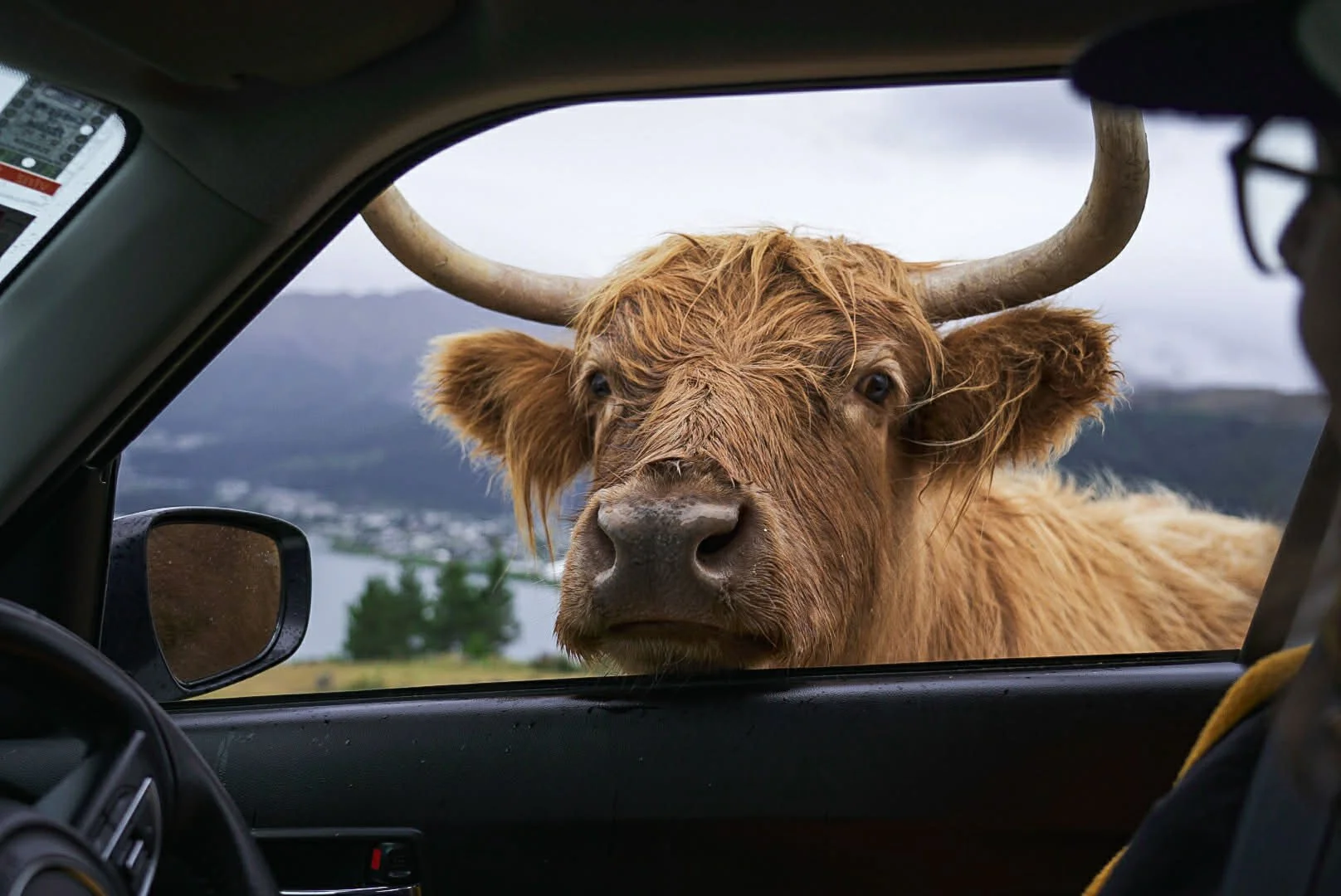 18f89f42-3876-46d3-a7d2-d233670068d6 (1).jpg