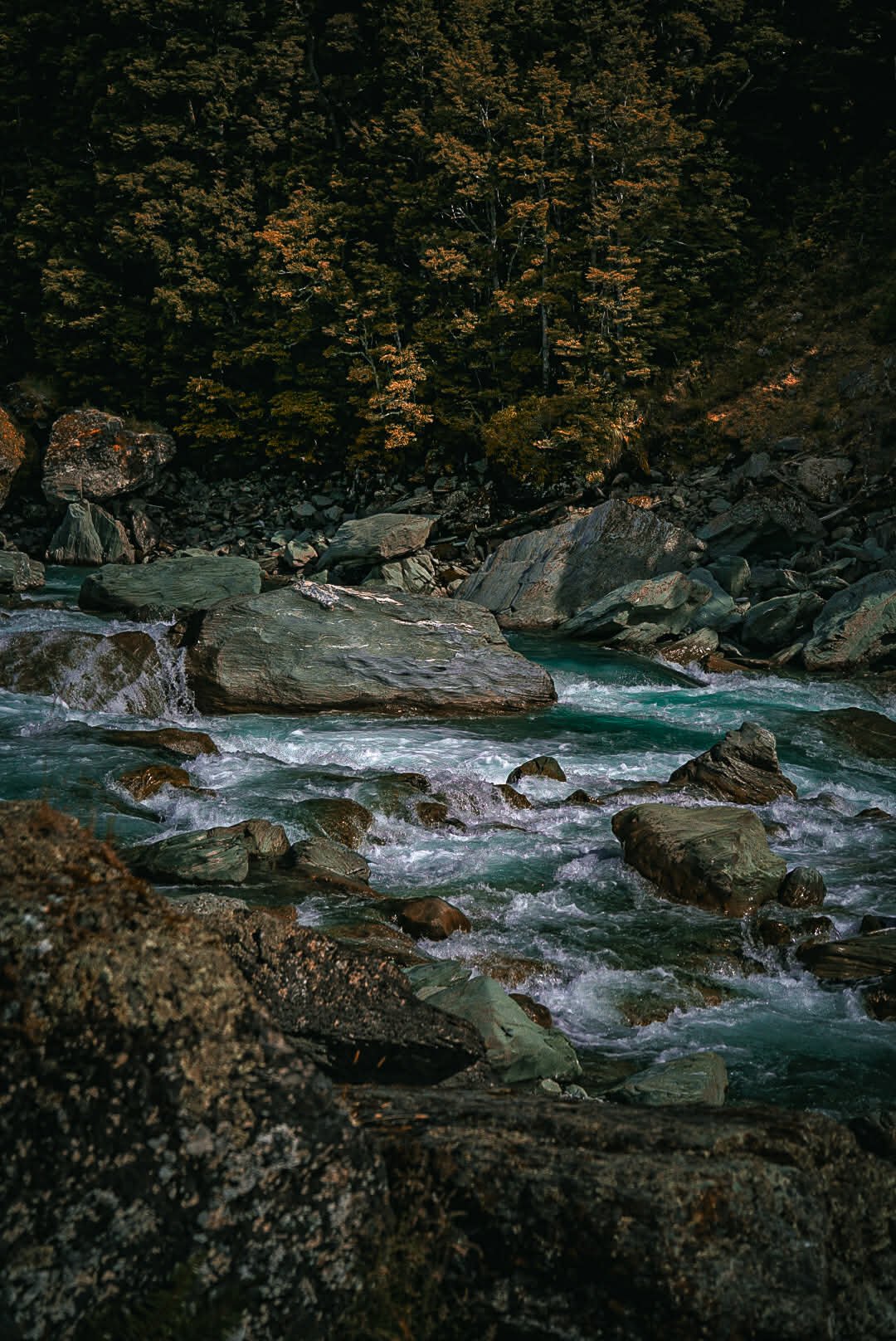 3081e7f9-8fac-4506-8839-f44ed2c4148f (1).jpg