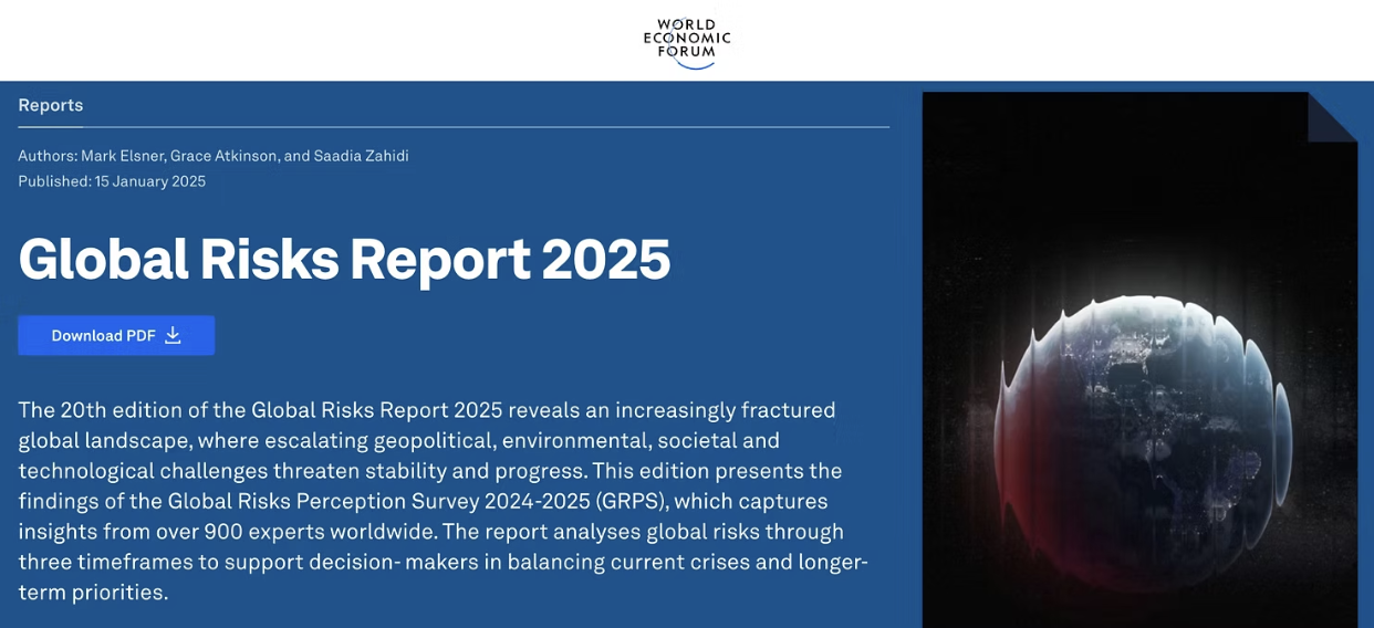 Global Risks Report 2025