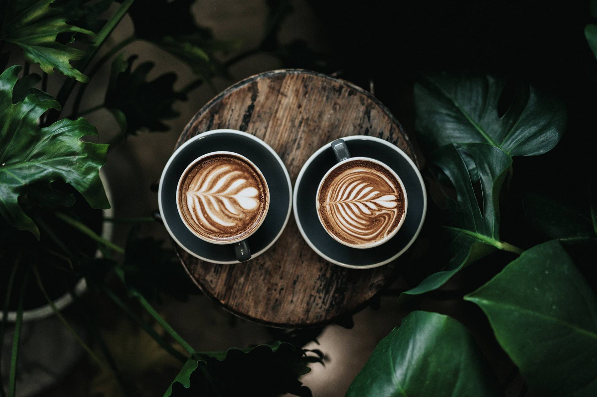 What do you think happens with the coffee grounds of your morning cup of joe?
