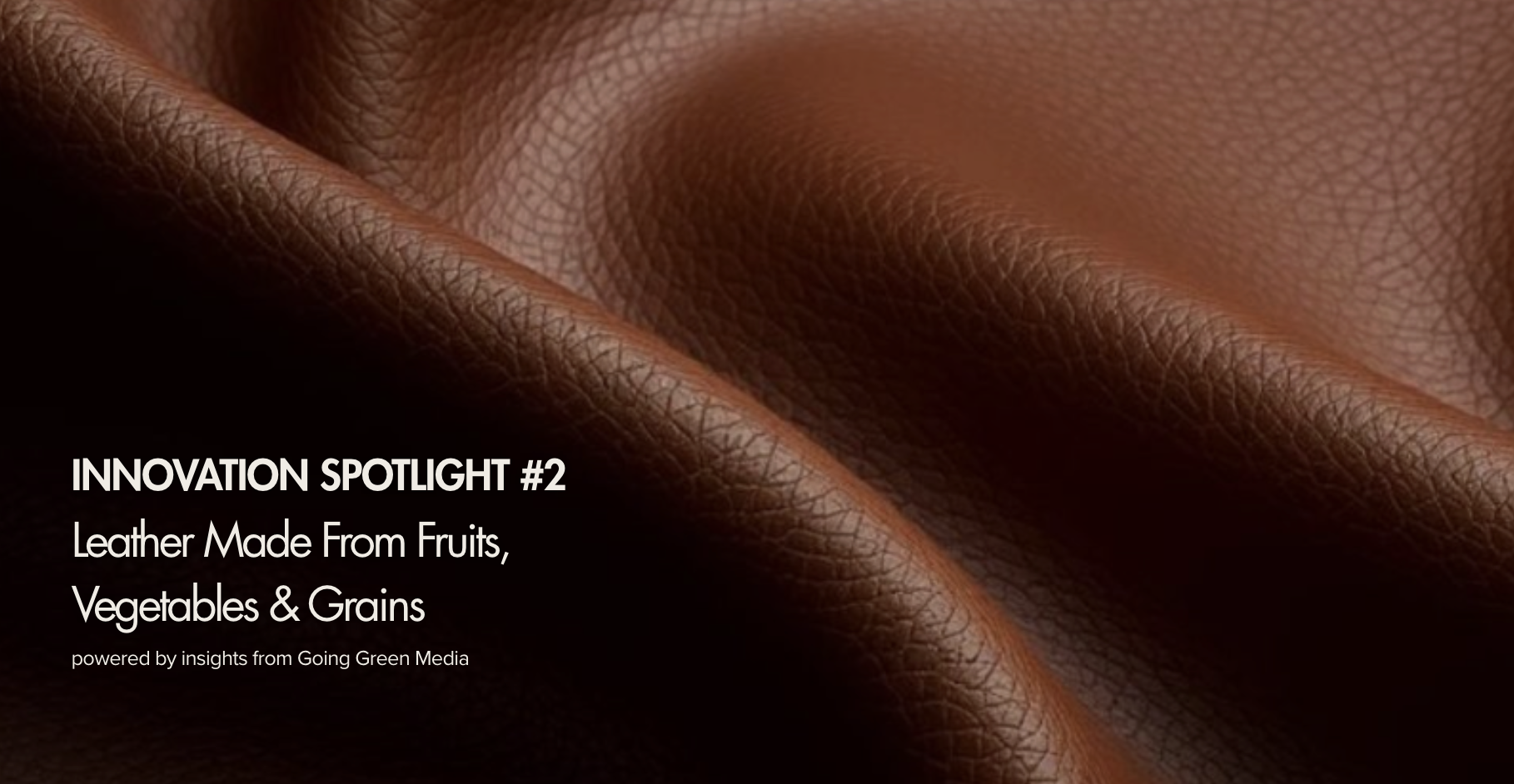 Fashion Week Spotlight: Turning food byproducts into fashion