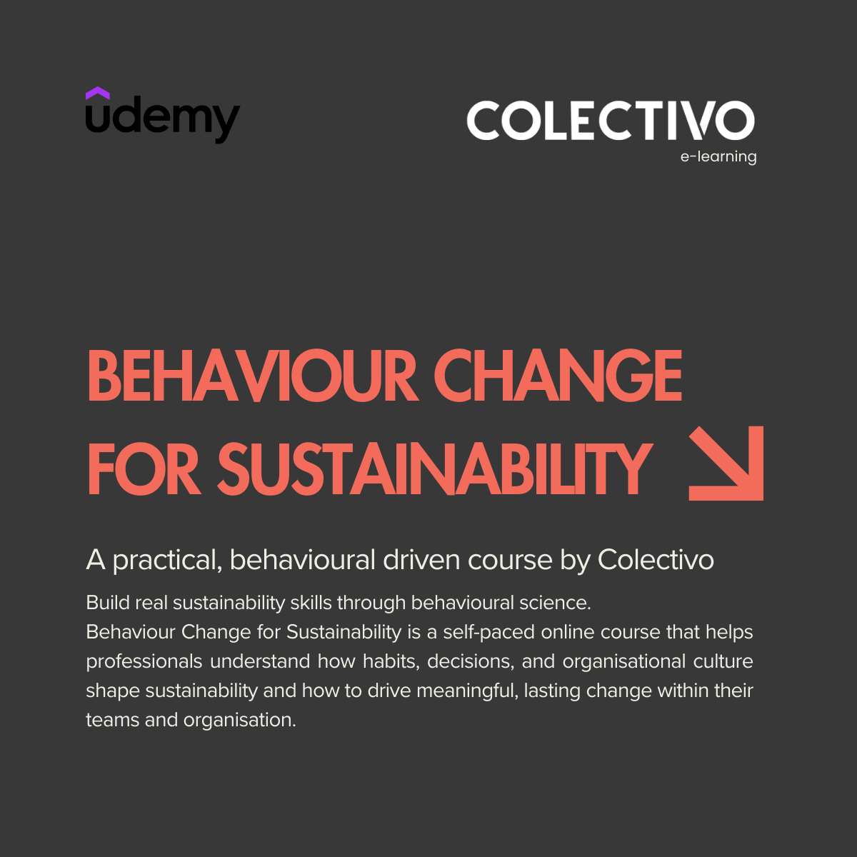 Blog - Why Learning Together Is Key to Sustainable Organisational Change.png