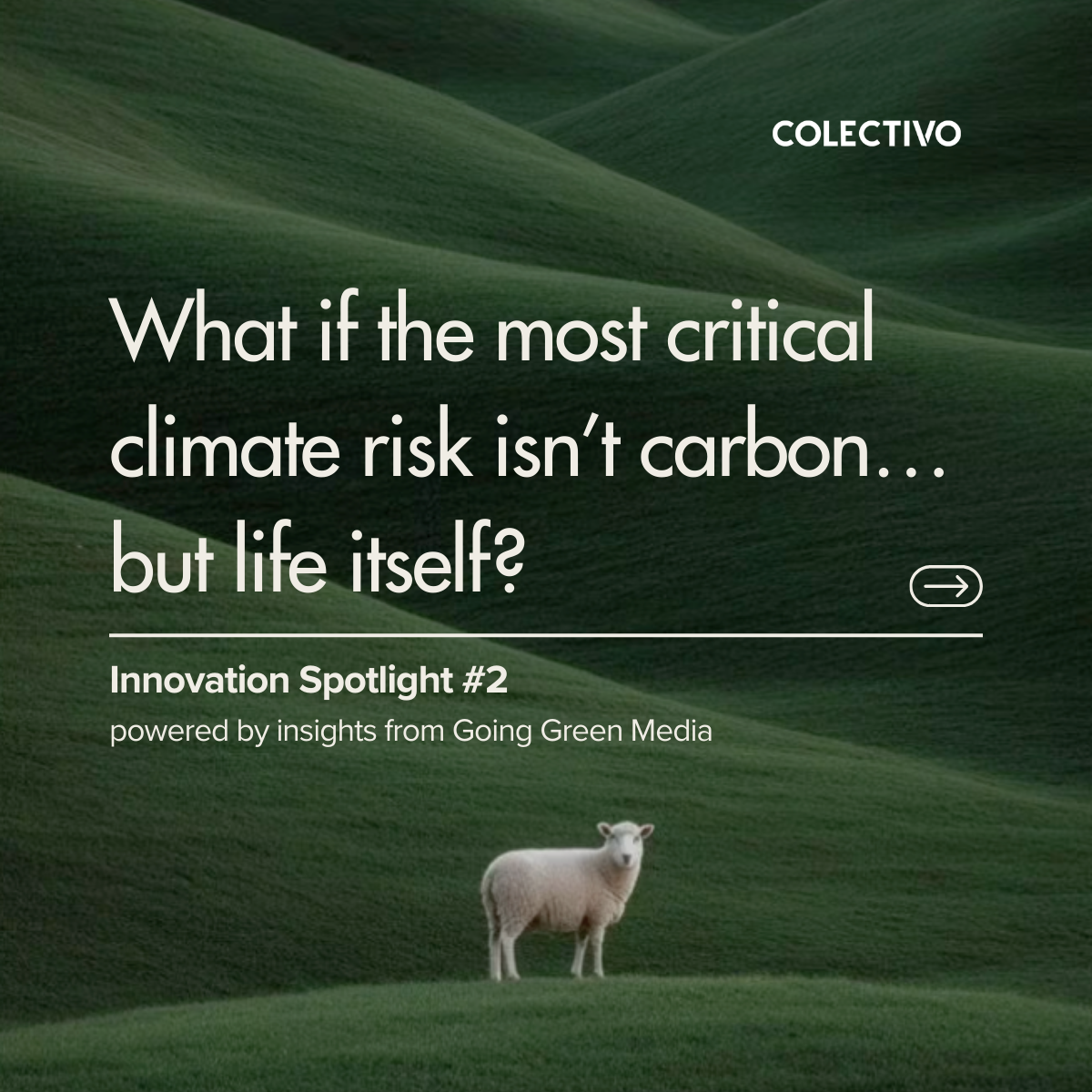 Innovation Spotlight: Why Biodiversity is the Business Dependency of the Decade