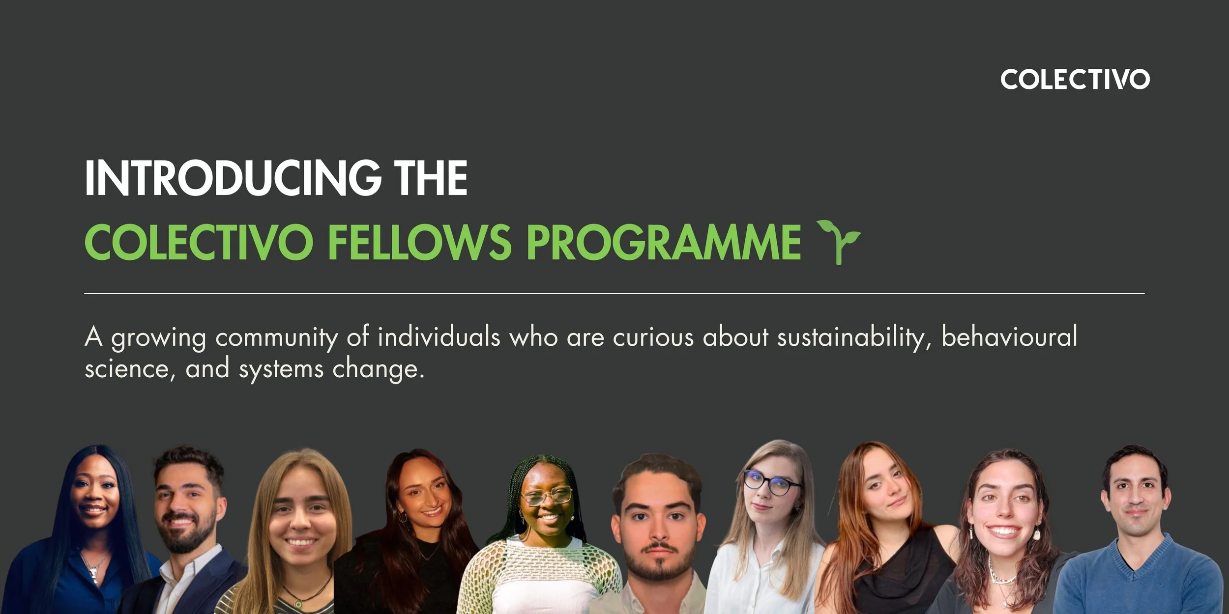 🌱 Introducing the Colectivo Fellows Programme
