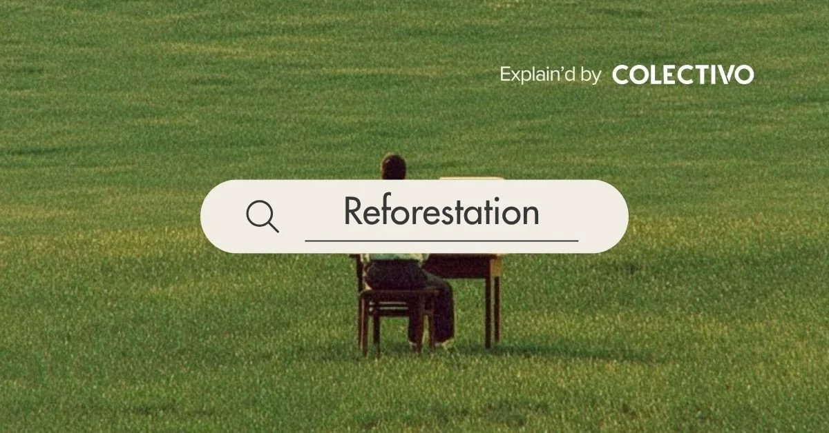 Explain’d: Reforestation