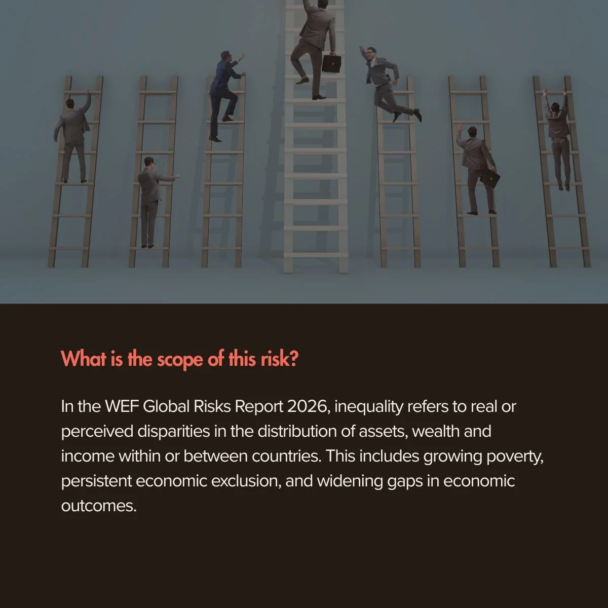 Blog - WEF Risks Report: Inequality (Short term risk #7, long term #7).jpg