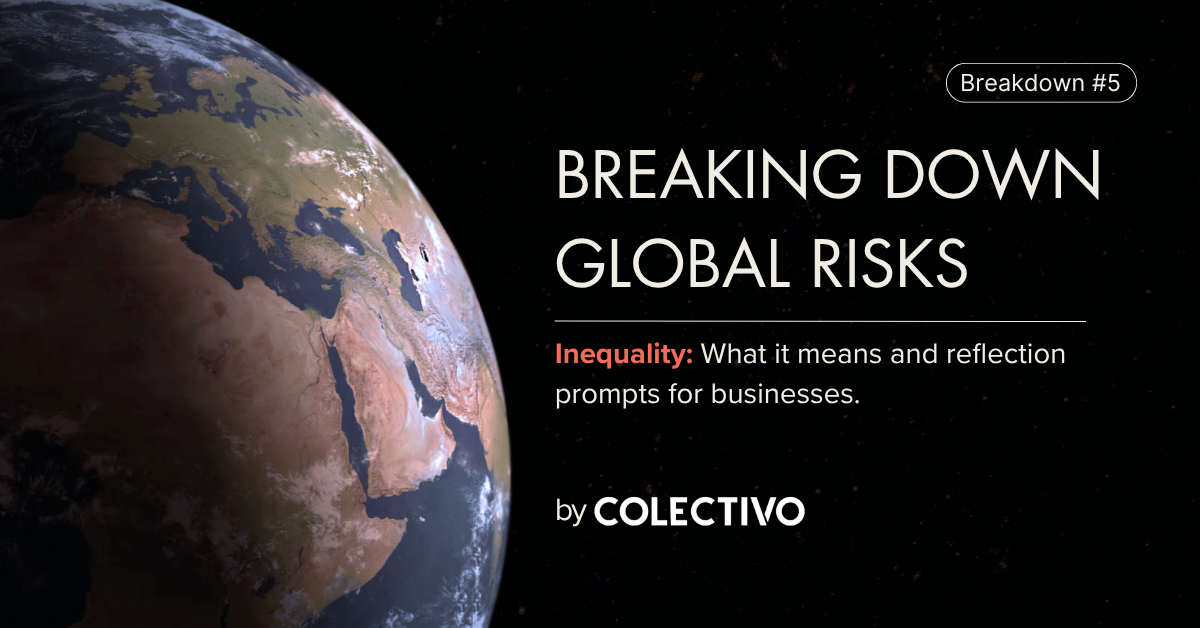 WEF Risks Report: Inequality (Short term risk #7, long term #7)&nbsp;