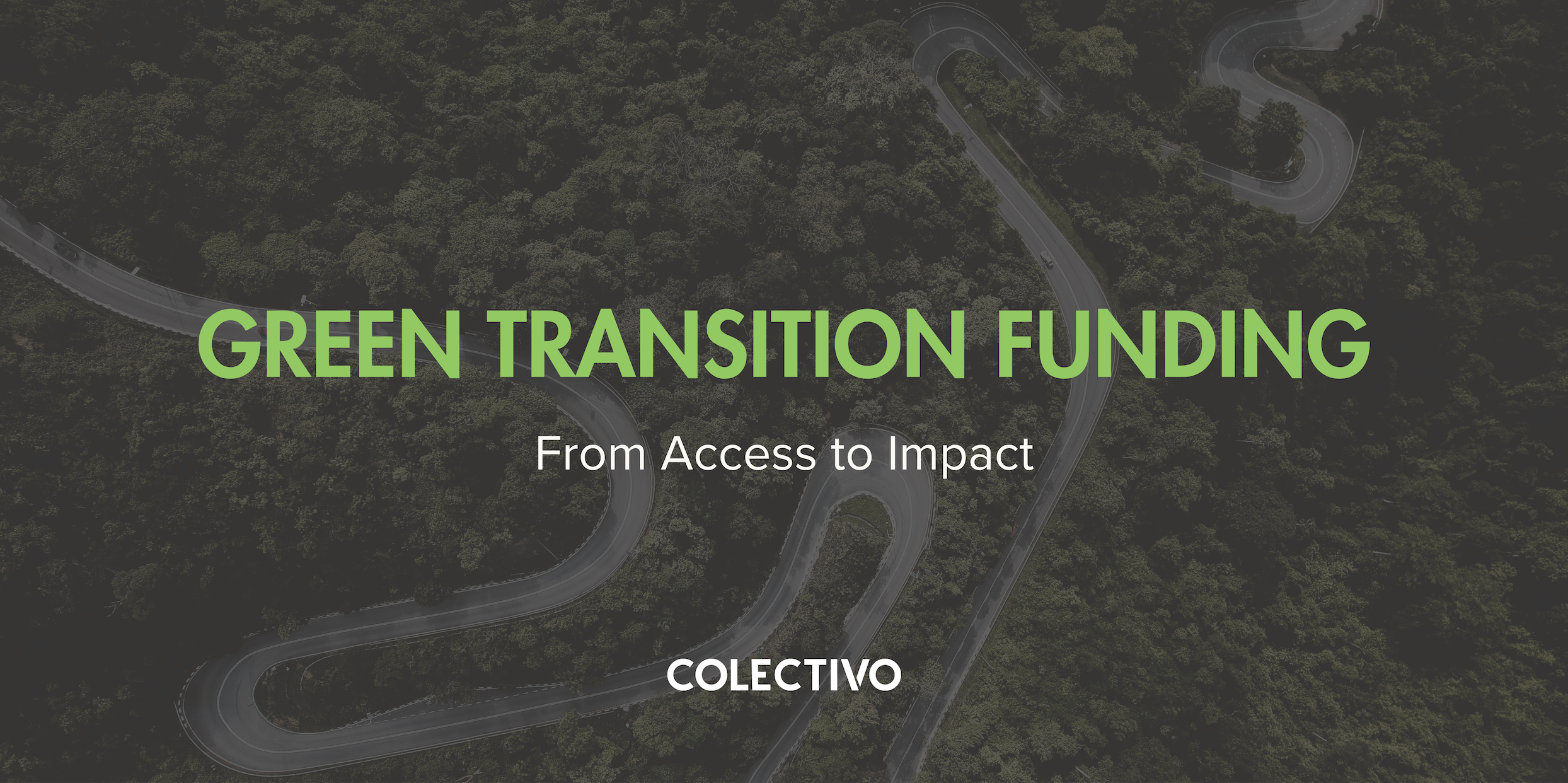 Green Transition Funding: From Access to Impact