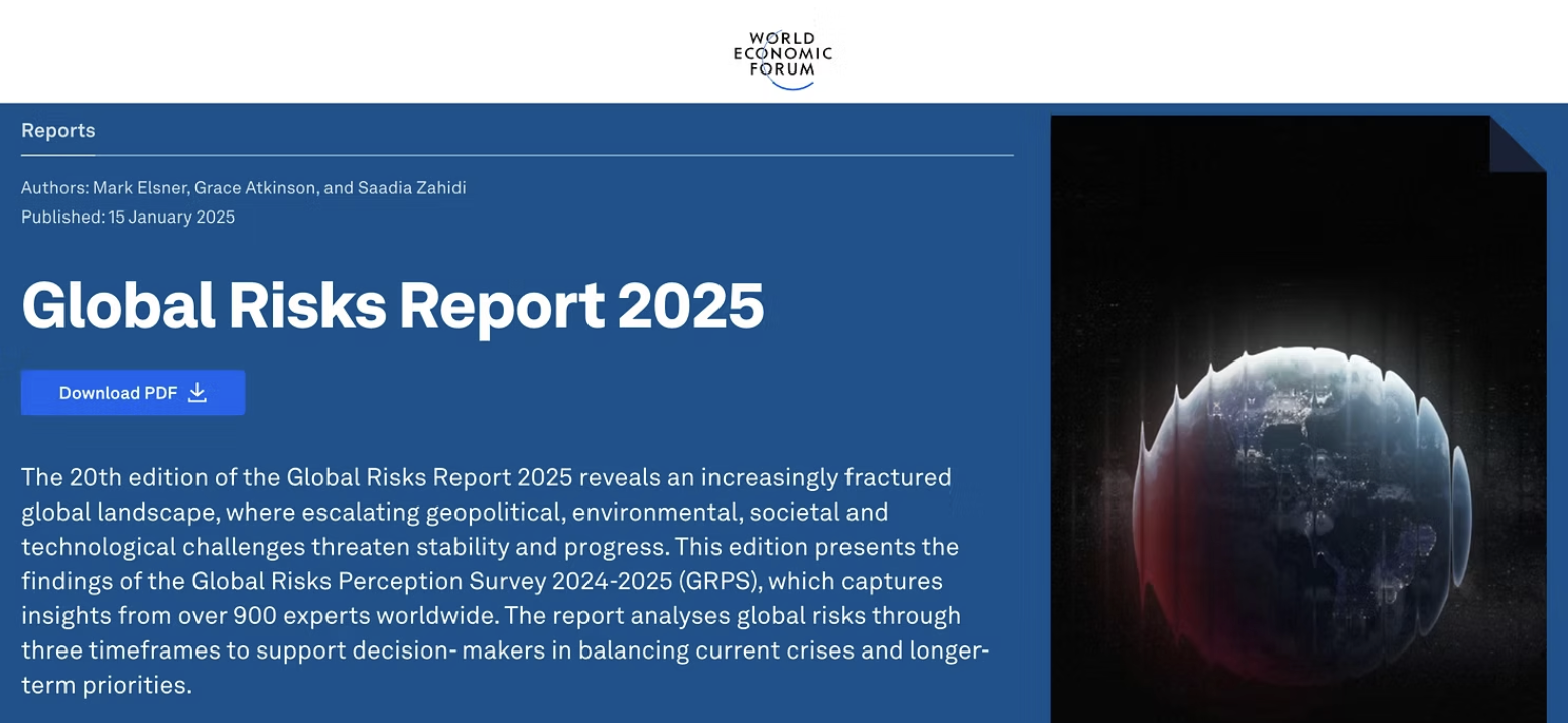 Global Risks Report 2025