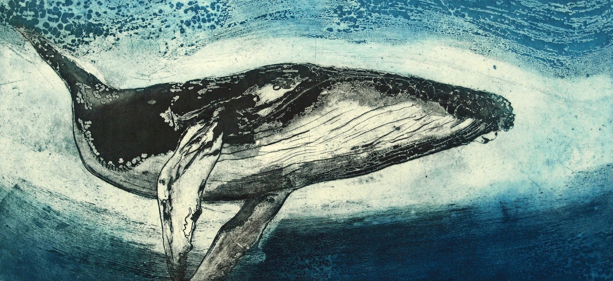 Humpback Whale IV Art Card (Pack of 6)