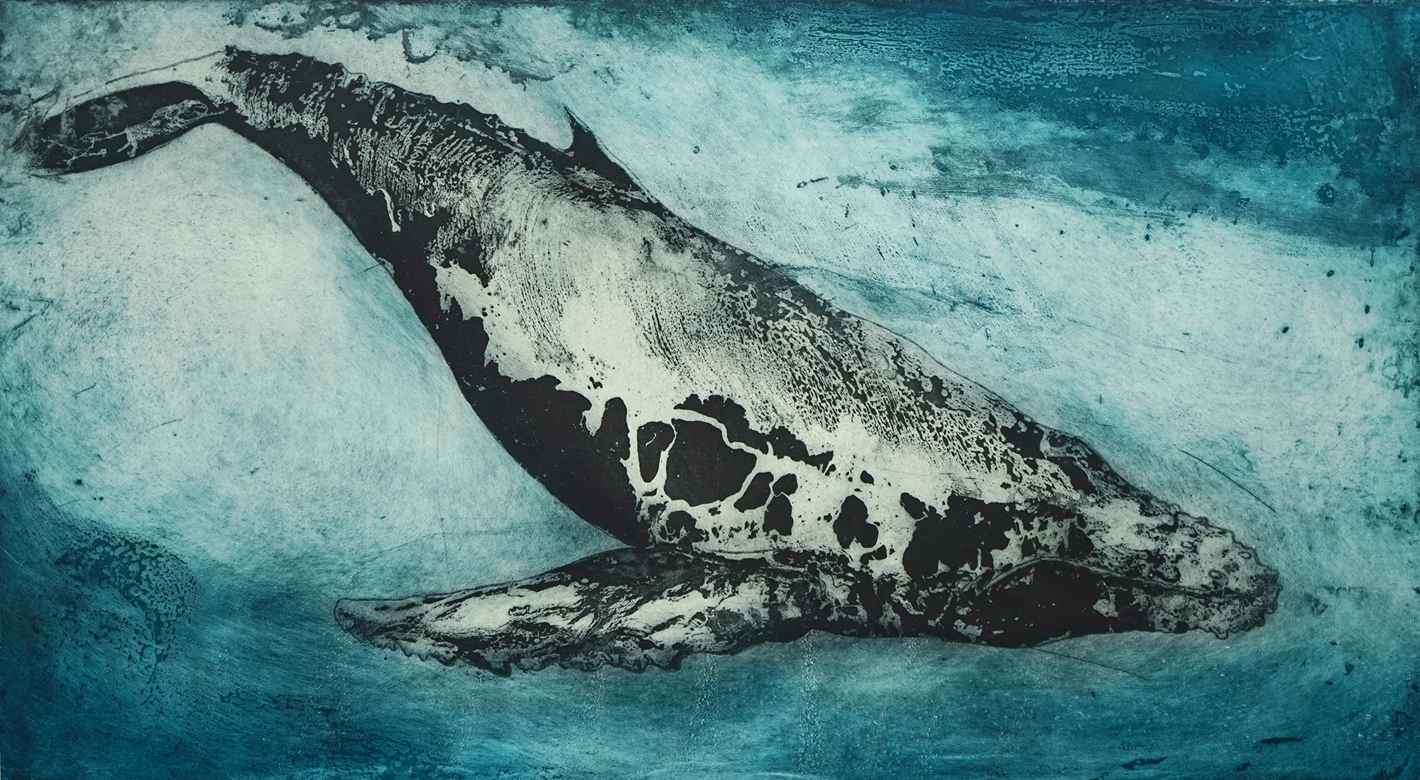 Leviathan II (Copy)