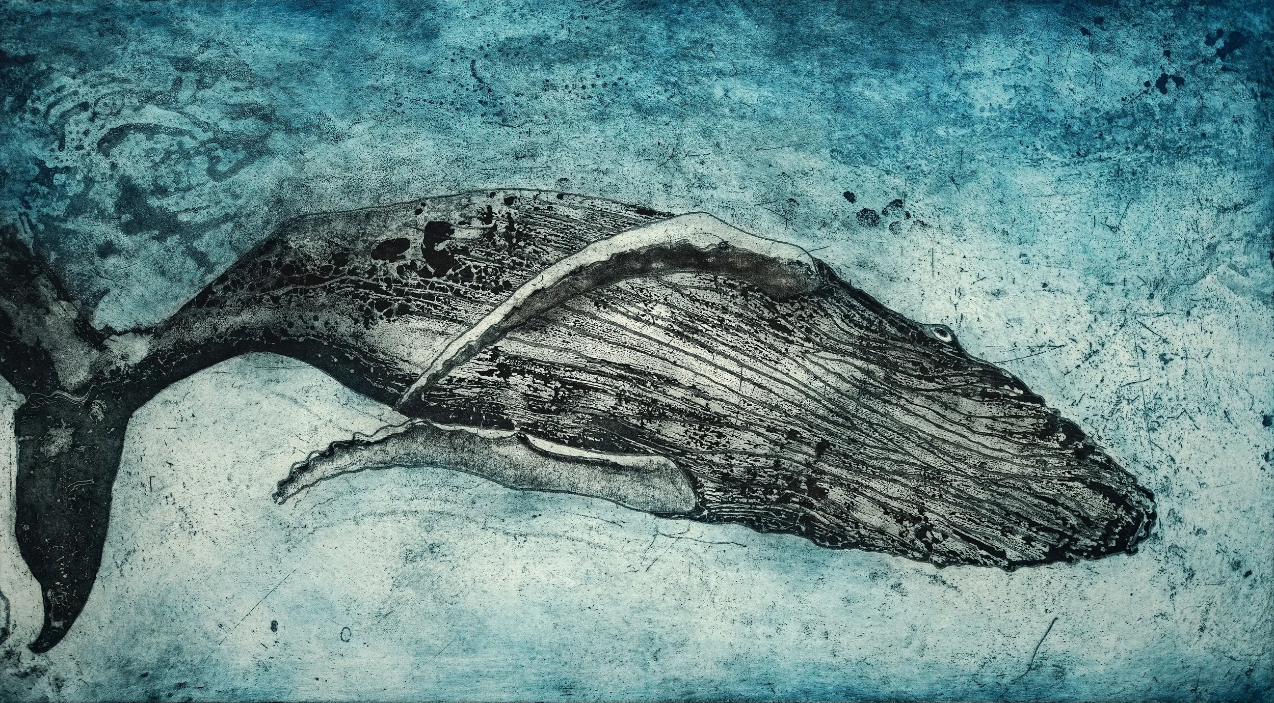 Diving Humpback (Copy)