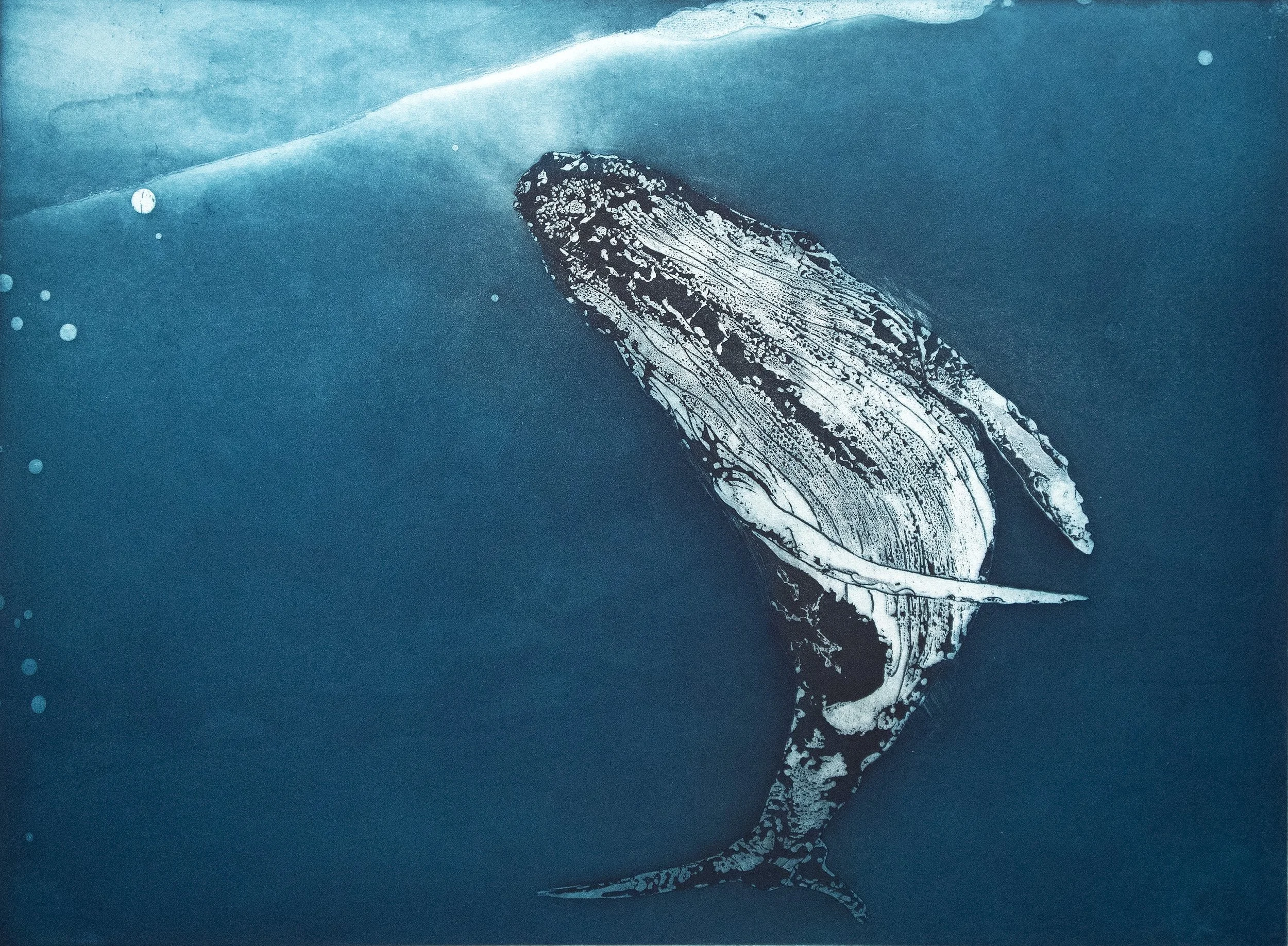 Leviathan VII (Copy)