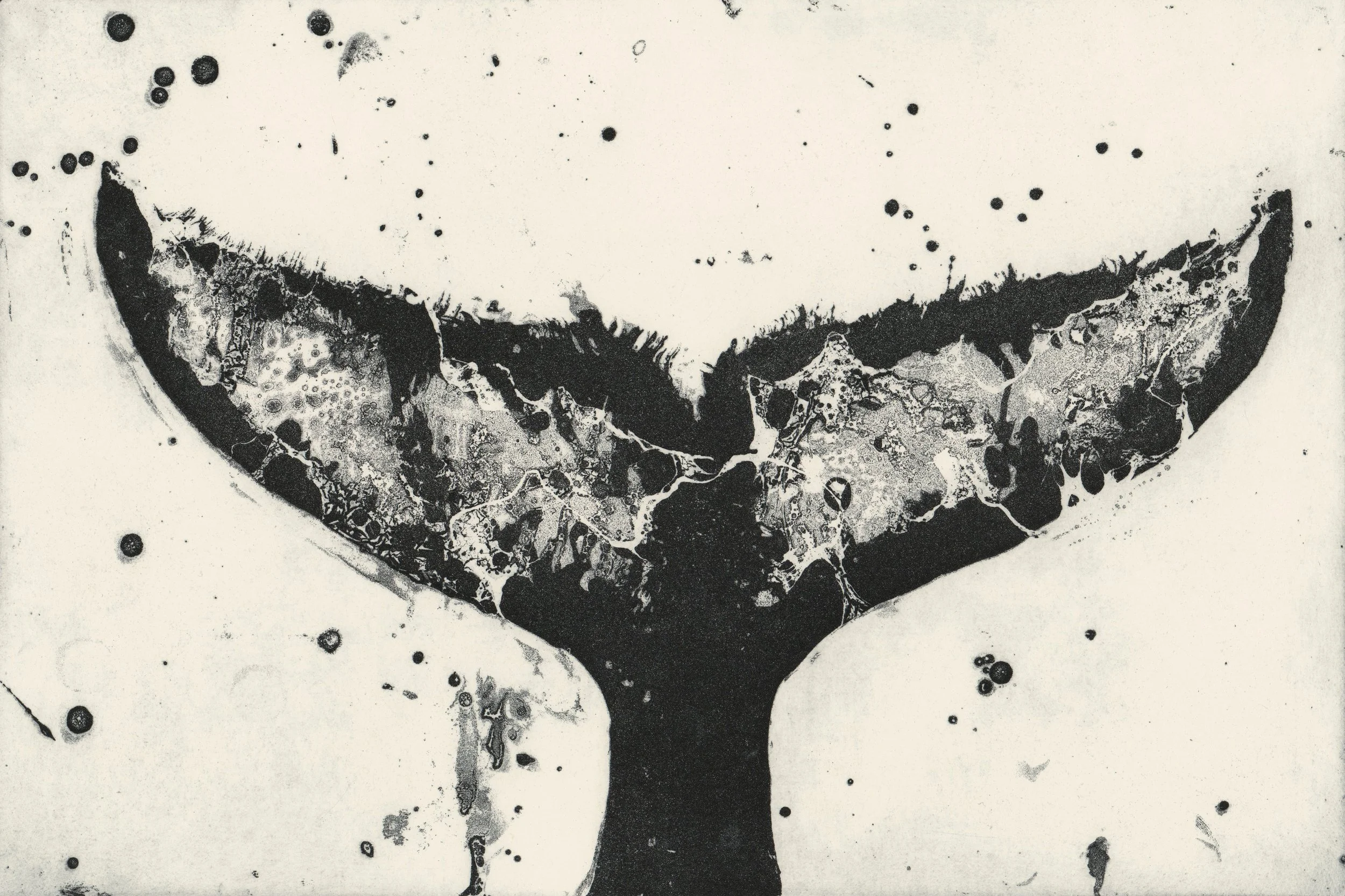 Whale Tail III (Copy)