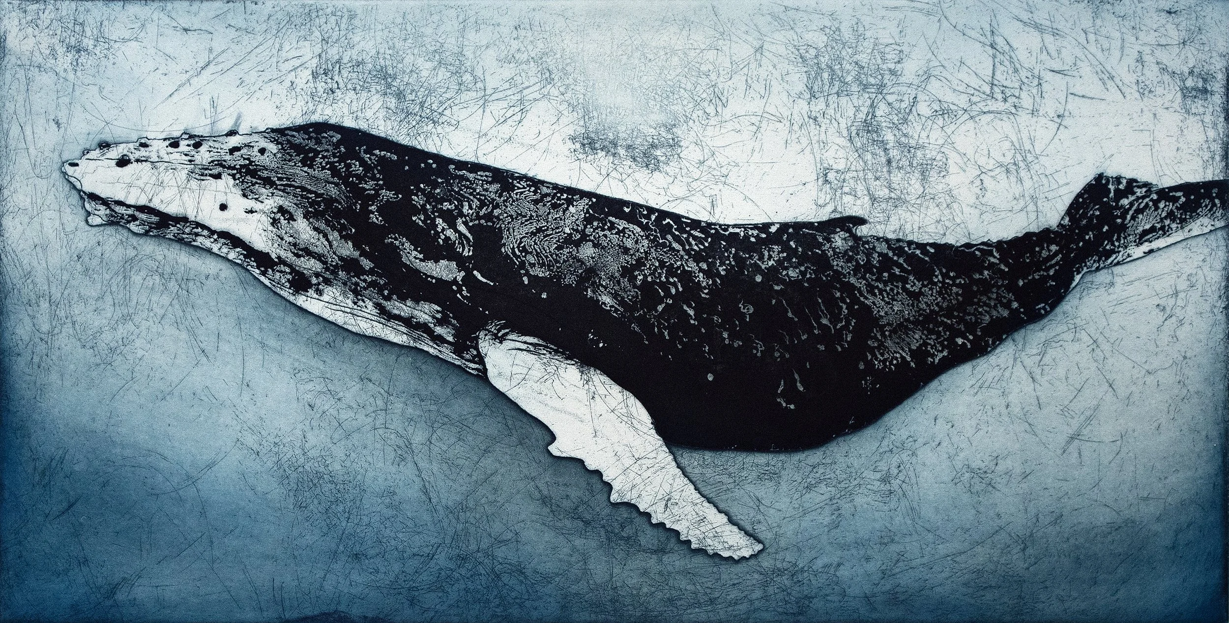 Humpback Whale VI (Copy)