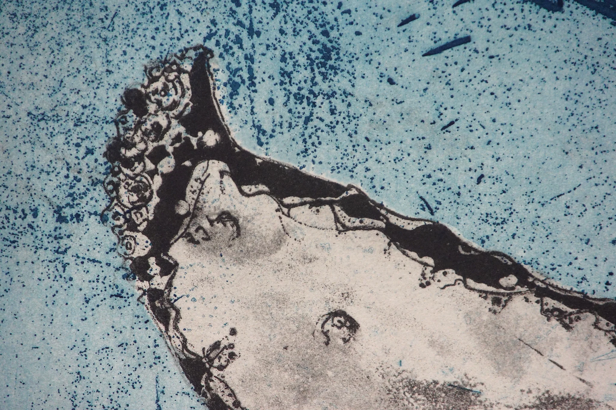 Tail Detail, Photec Etching