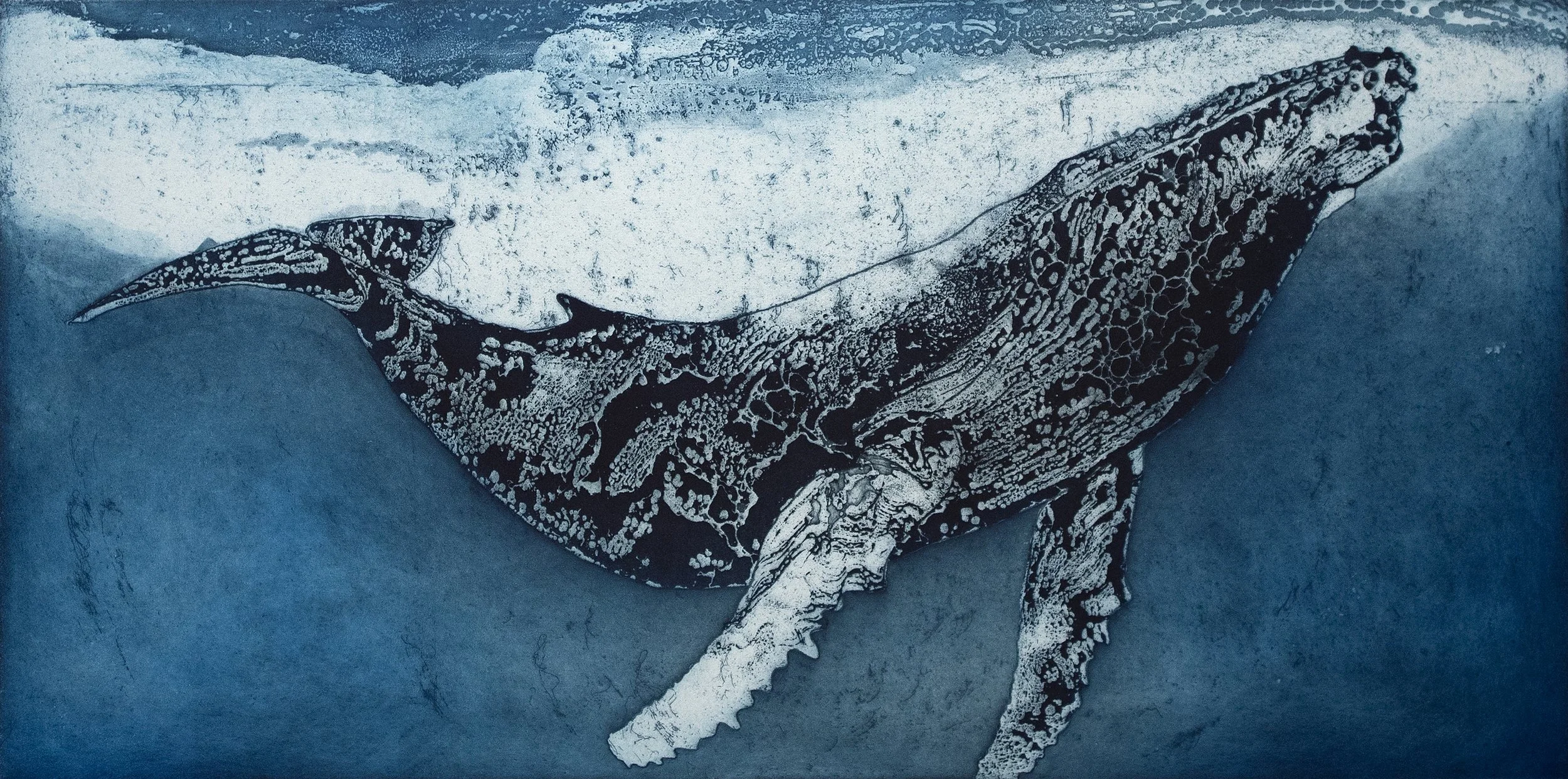 Humpback Whale V