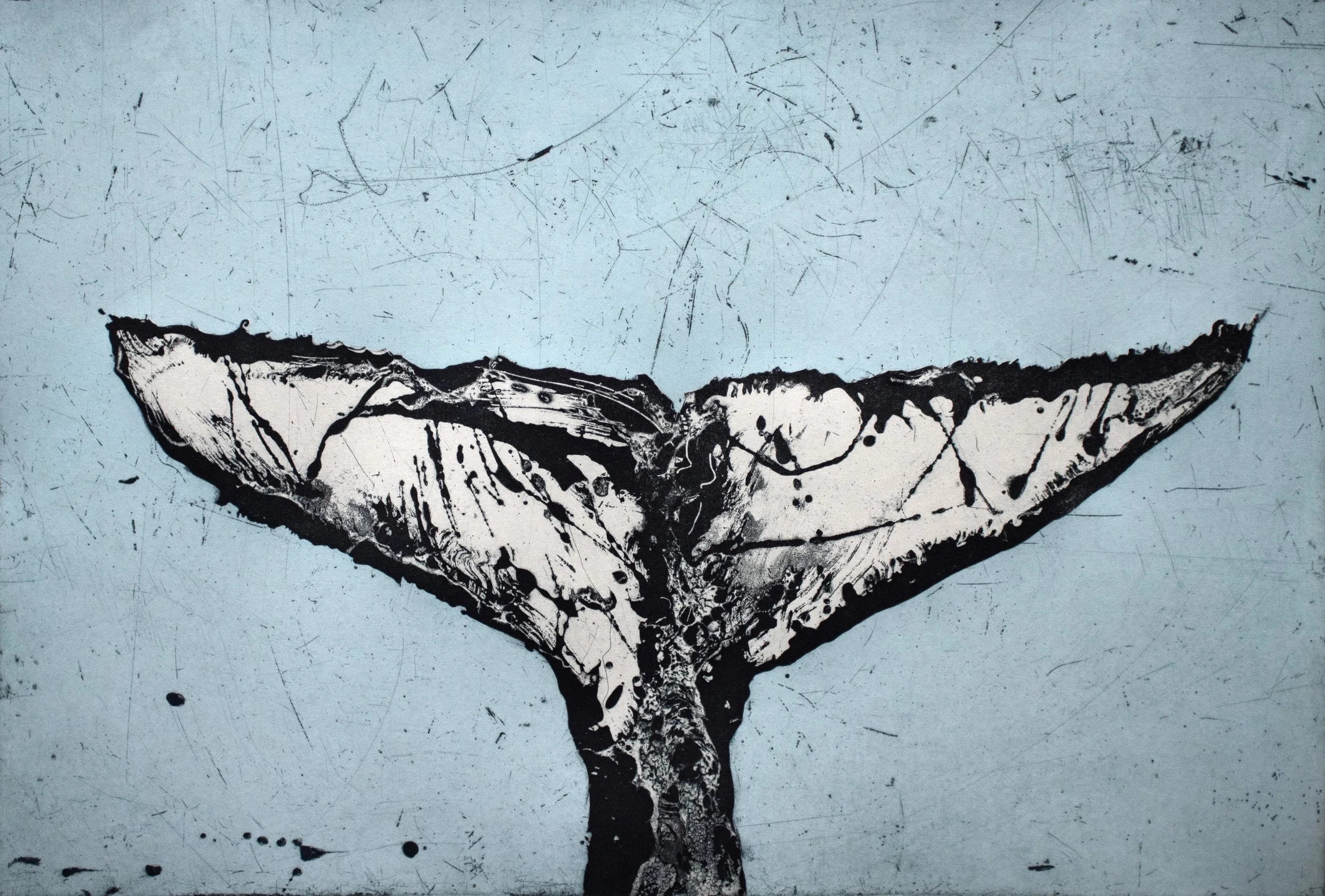 Whale Tail III