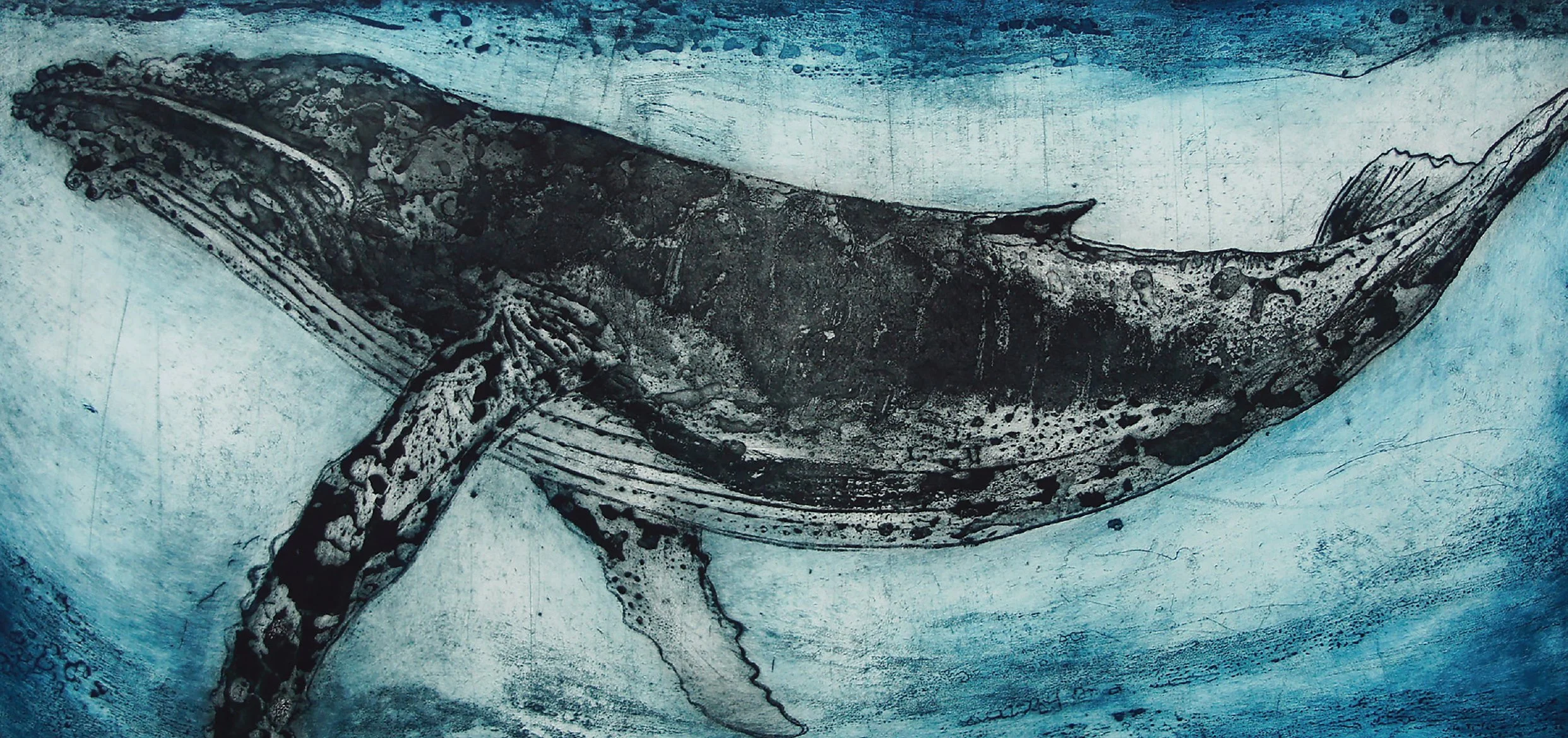 Humpback Whale II.jpg