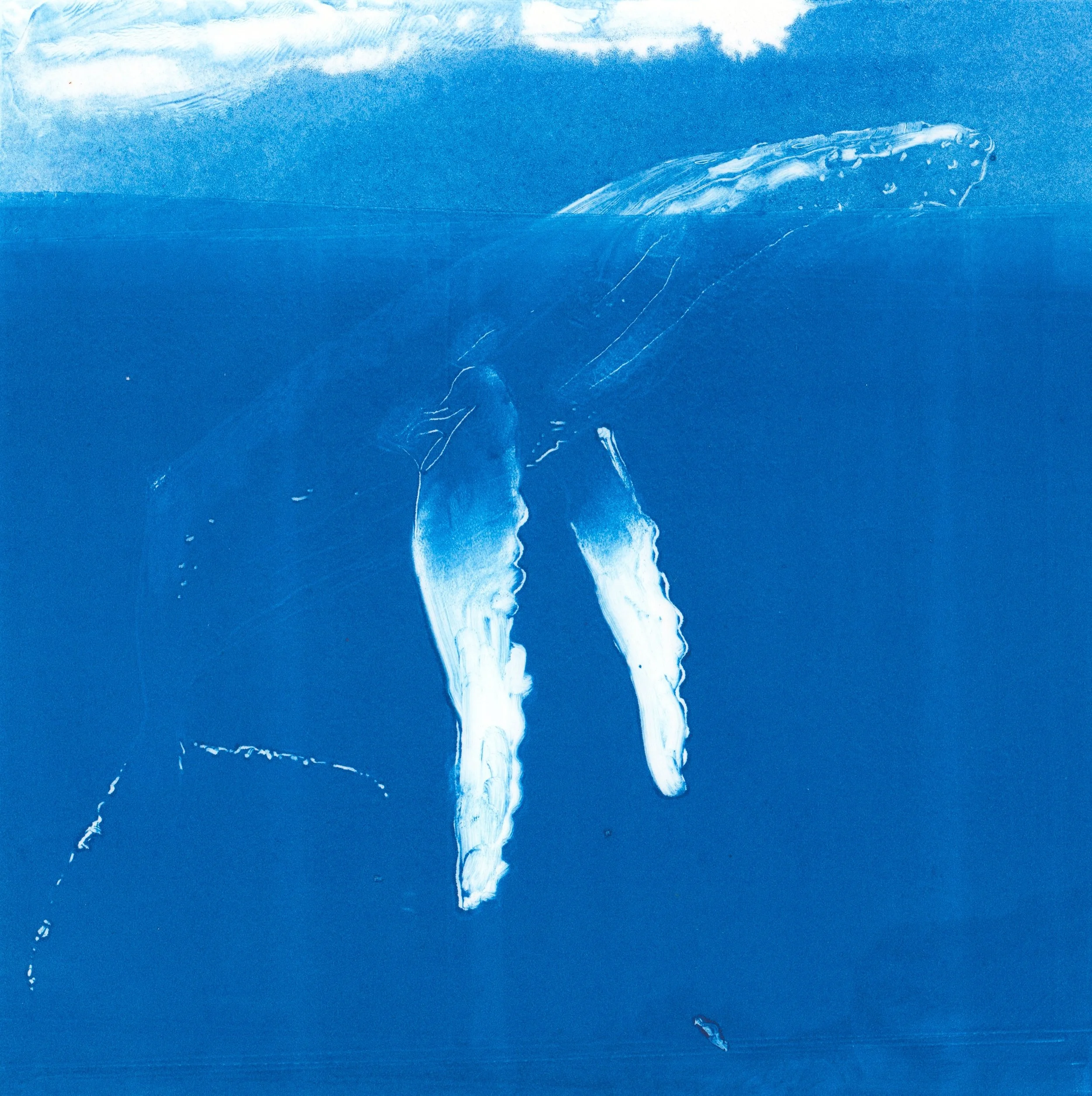 MacPhee_Whale_III.jpg