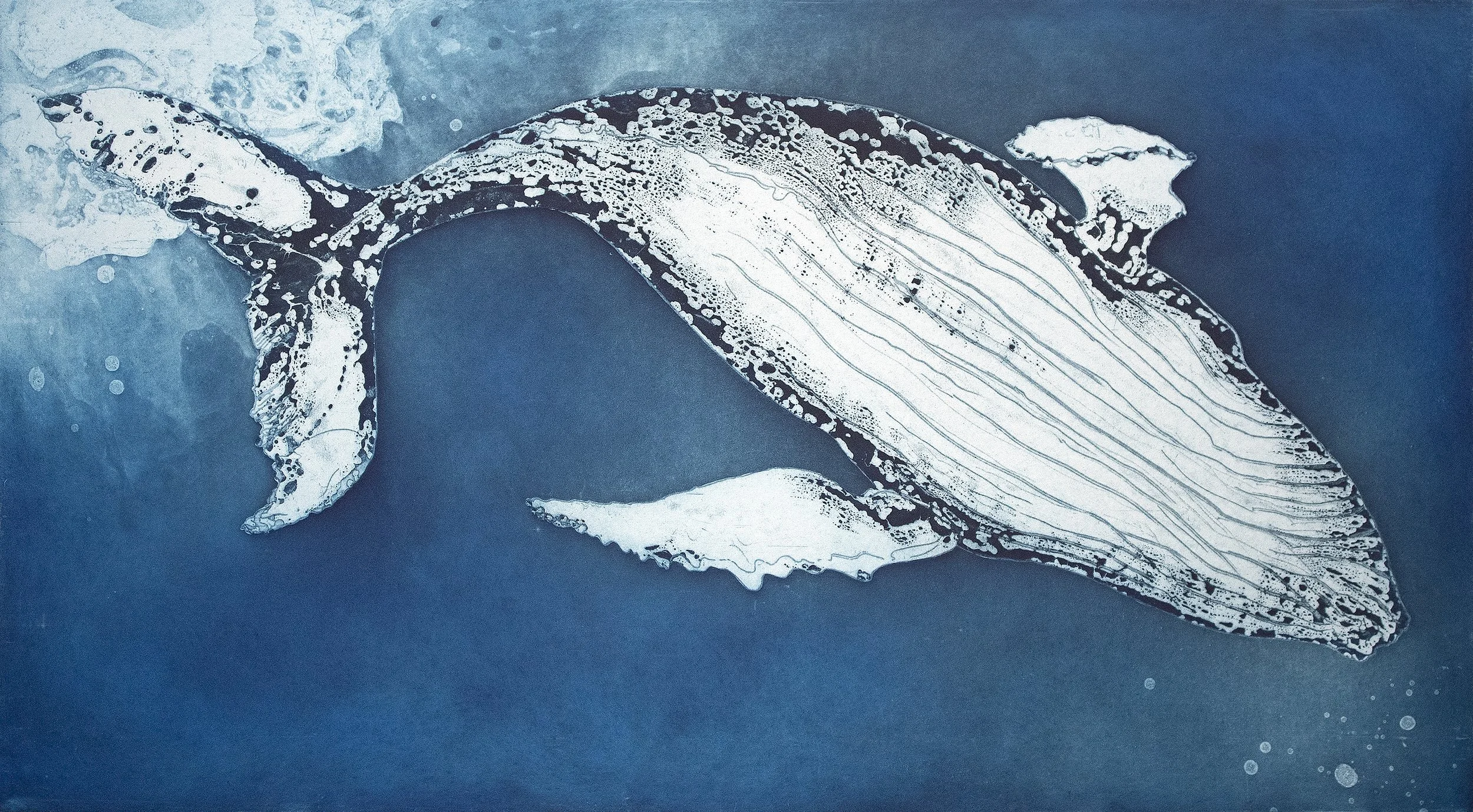 Humpback