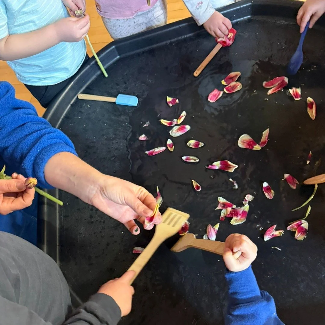 The children at The Treehouse Club Great Totham are having a blast making potions! They loved pulling petals and mixing them into the water, stirring the brew. They also enjoyed smelling the petals and describing their vibrant colours to us! 😊

#Tre