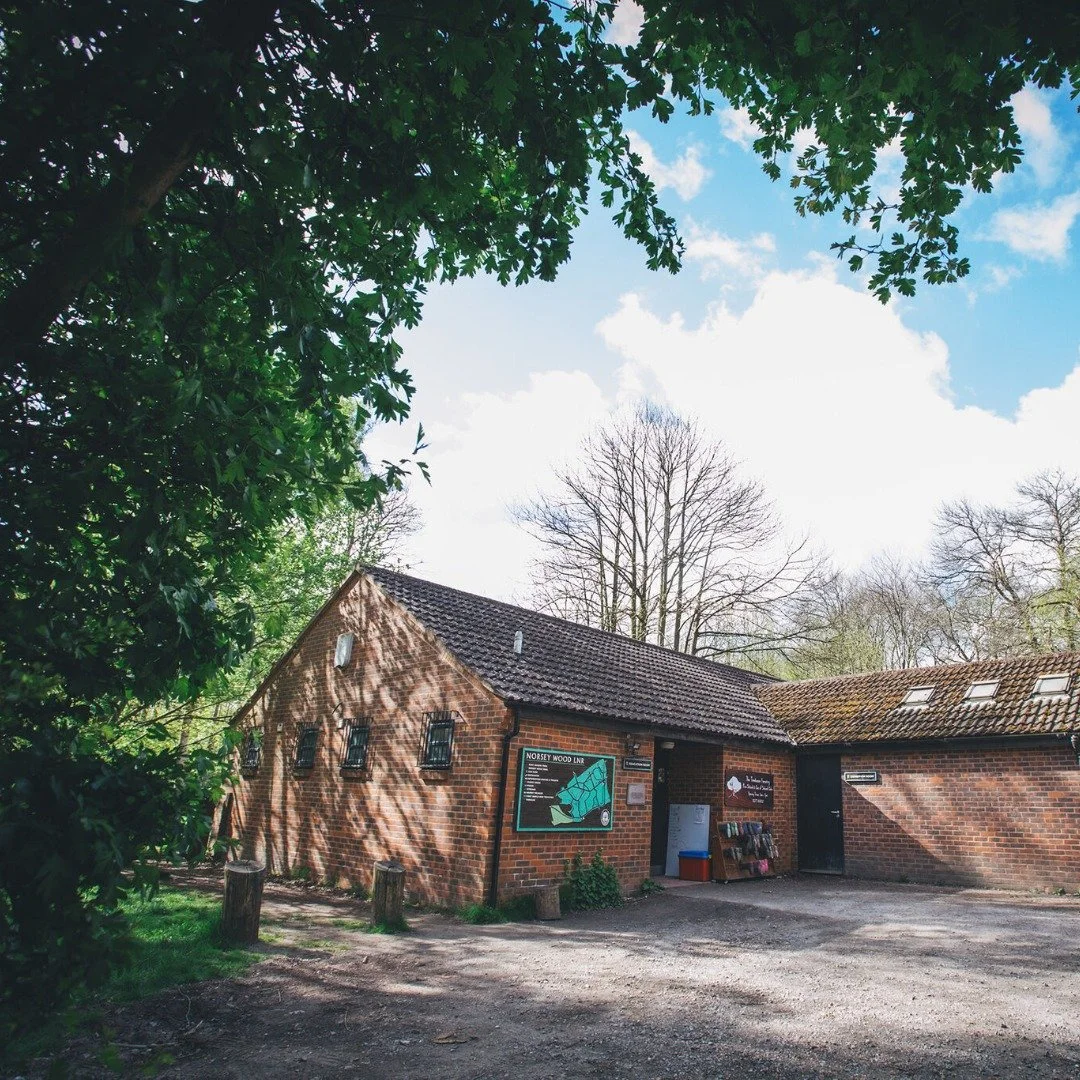 Some classrooms have walls.

Ours have trees.

Our Norsey Woods Day Nursery sits in the heart of a beautiful woodland reserve, where children can explore nature every day.

From wildlife spotting to pond exploration and woodland discovery, the natura