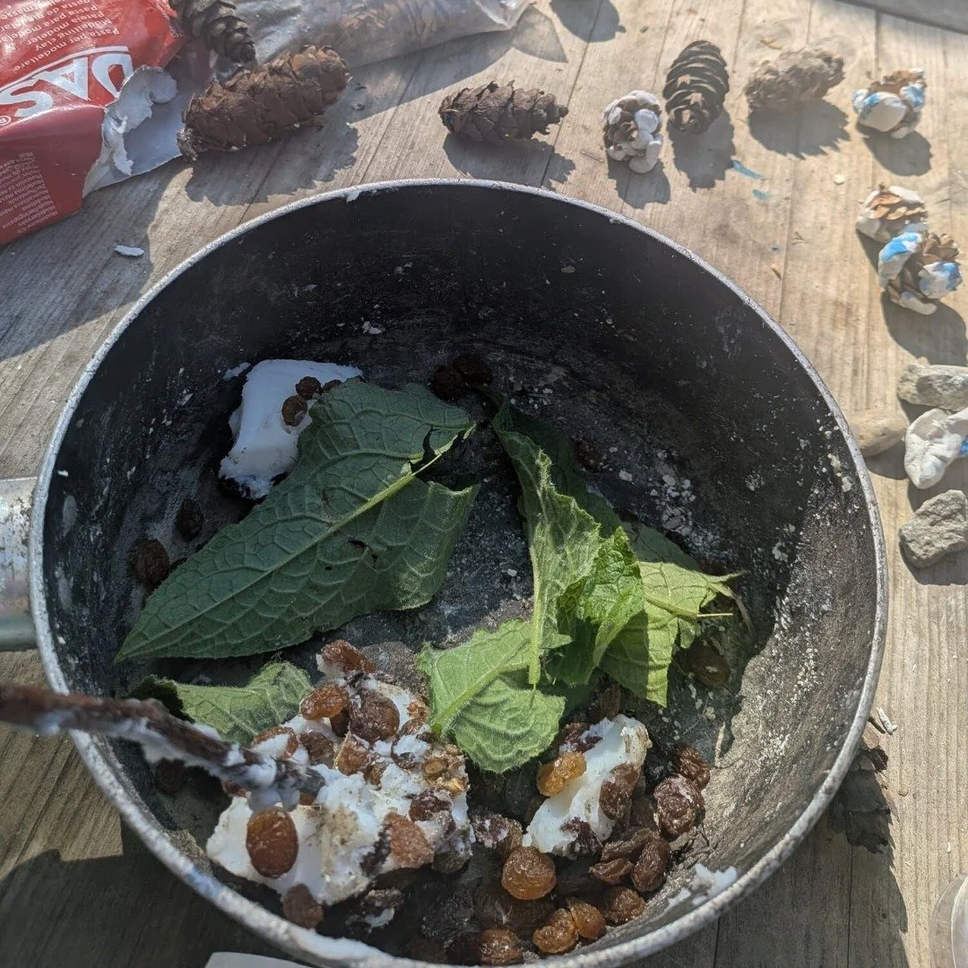 The birds are going to be well fed! The children at The Treehouse Club Norsey have been busy making bird feed balls for the birds. 🐦

#NorseyWoods #Nursery #TreehouseClub
