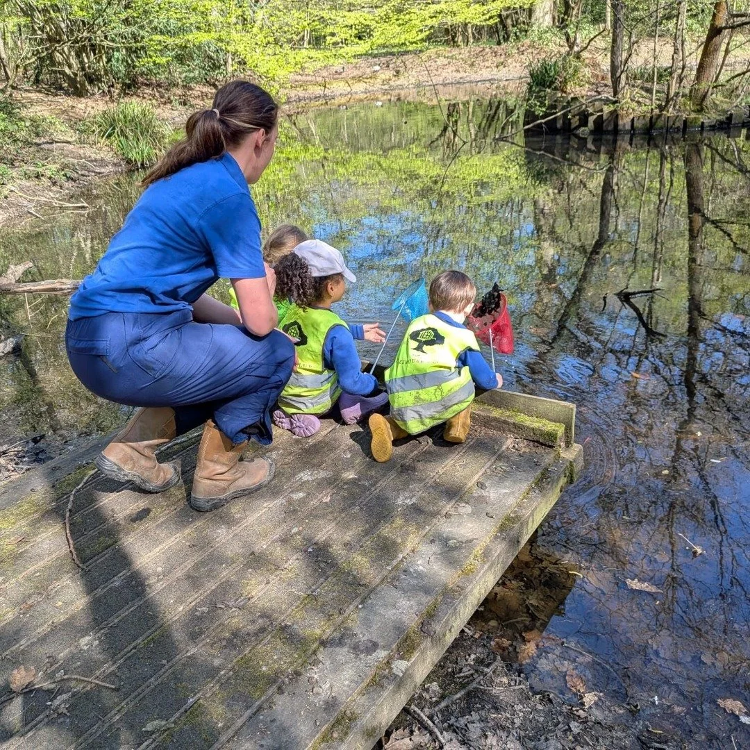 Our Brentwood Owls explored the local pond with some pond dipping! A fun activity where the children learn motor skills and how to safely handle nets to observe nature. 

#TreehouseClub #Nature
