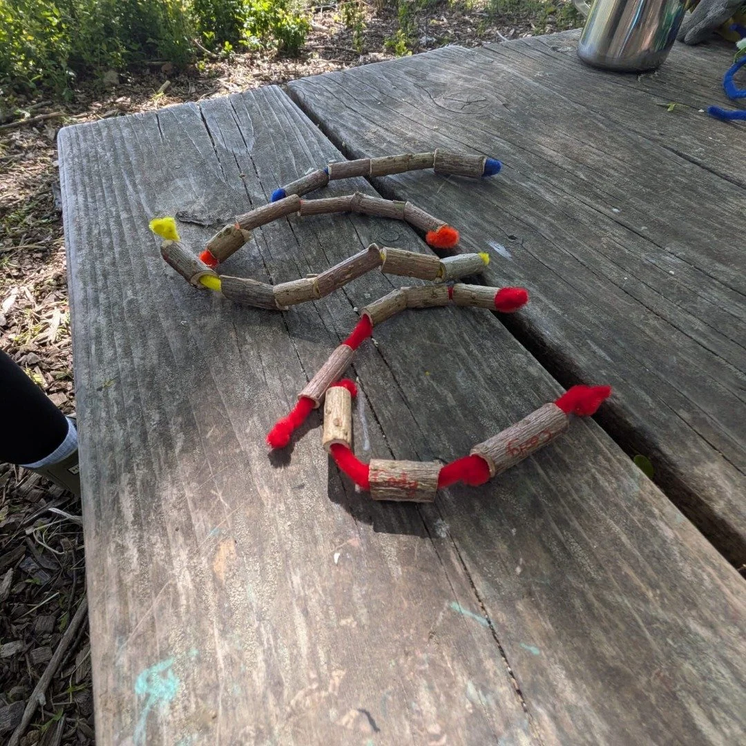 As the sun comes out so do all the crawling bugs and wiggly worms! Our Owls have noticed a fair number of green caterpillars recently. Whilst we learn about them we also have incorporated some caterpillar based activities, using beads and string to m