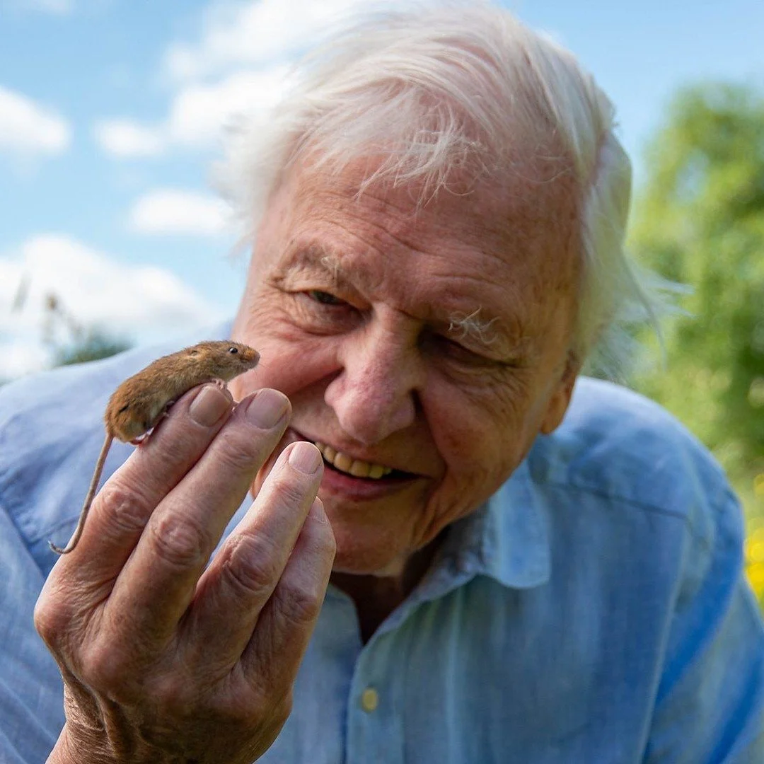 Today we celebrate an incredible milestone, Sir David Attenborough&rsquo;s 100th Birthday 🌿

For generations, Sir David has inspired children and adults alike to slow down, explore the natural world and protect the planet around us.

At The Treehous