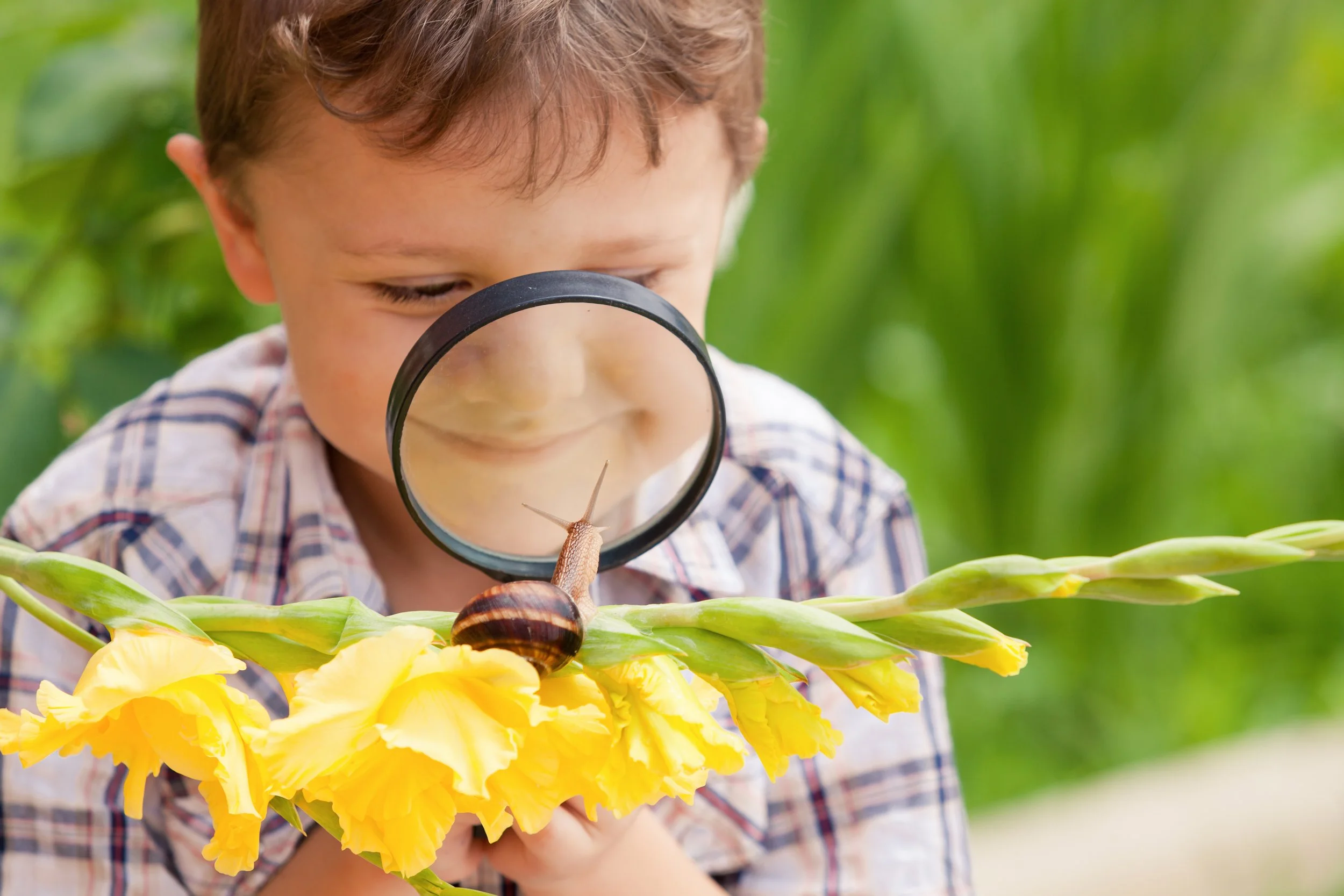 Nursery Practitioner