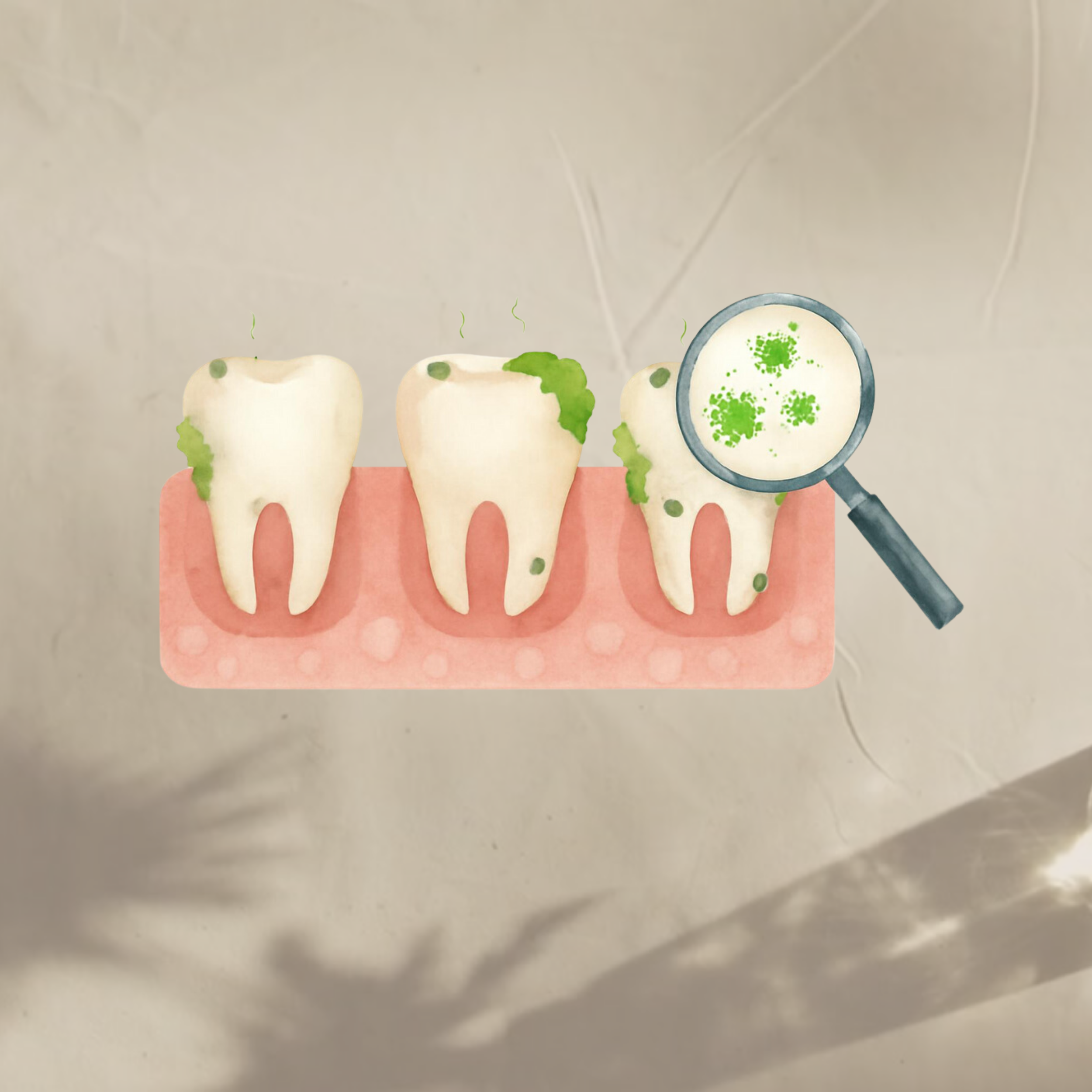 Teeth Cleaning-4.png