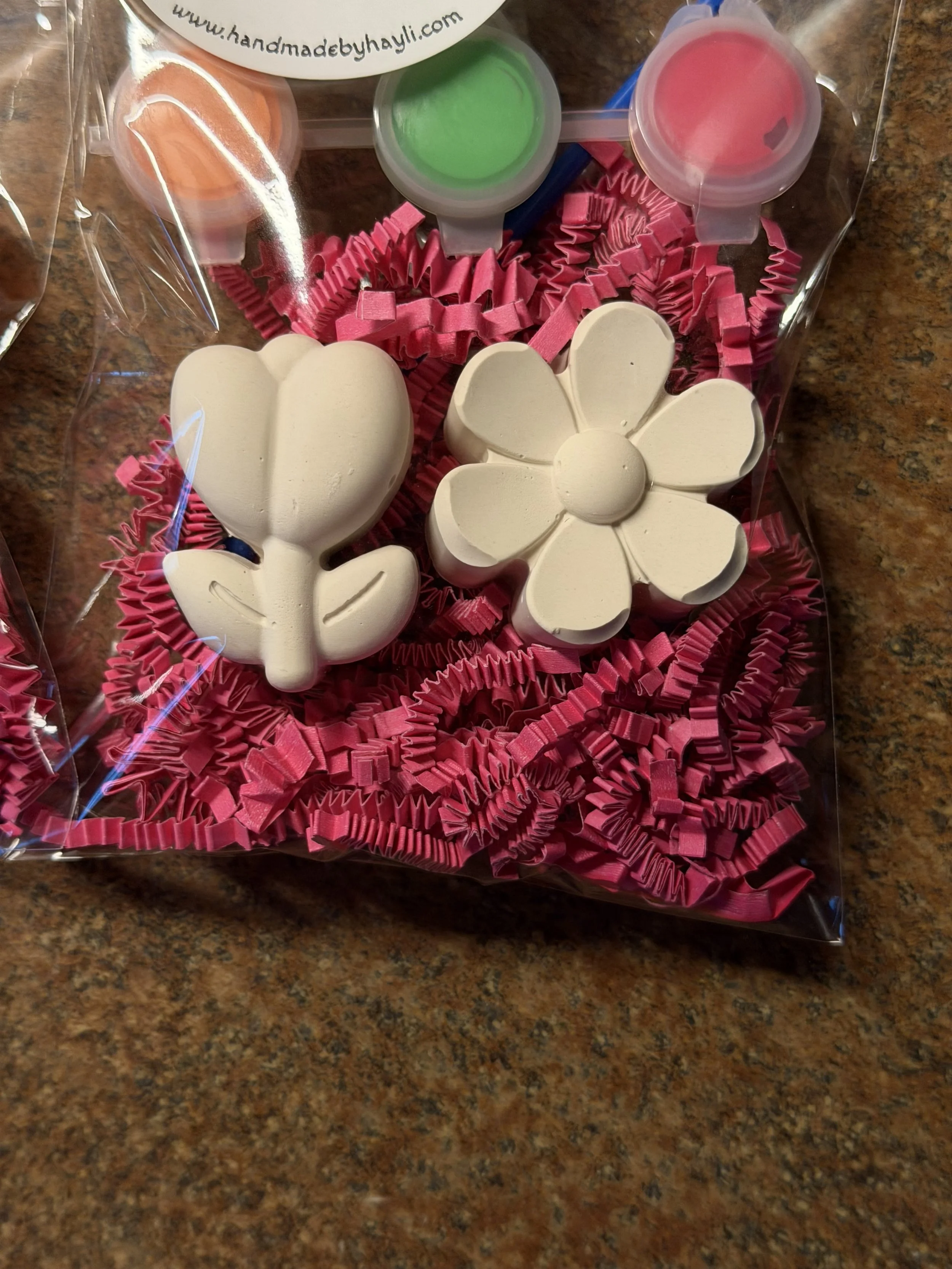 Flowers - PYO Magnet Kit