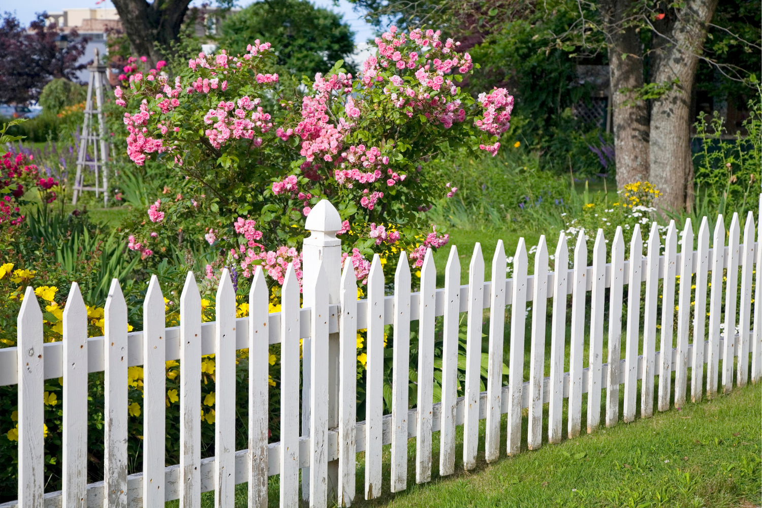 Fast Fence Upgrades: When You Need a Fence Installed Immediately