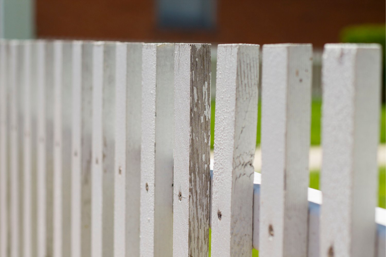 Steel vs. Traditional Wood Posts: Long-Term Durability Comparison