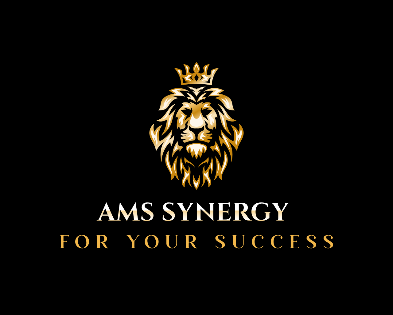 AMS Synergy Real Estate
