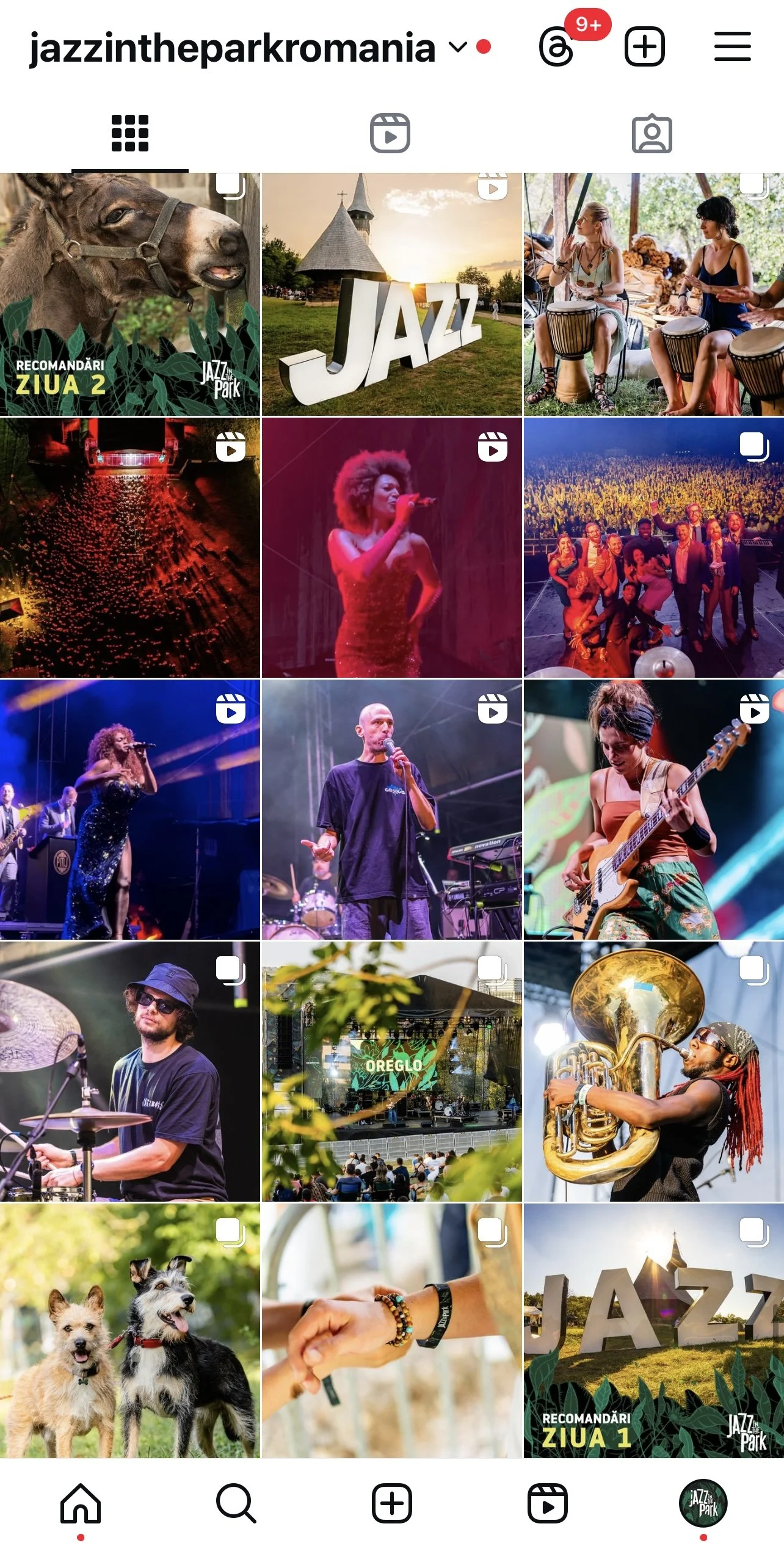 jazz in the park 1.jpg